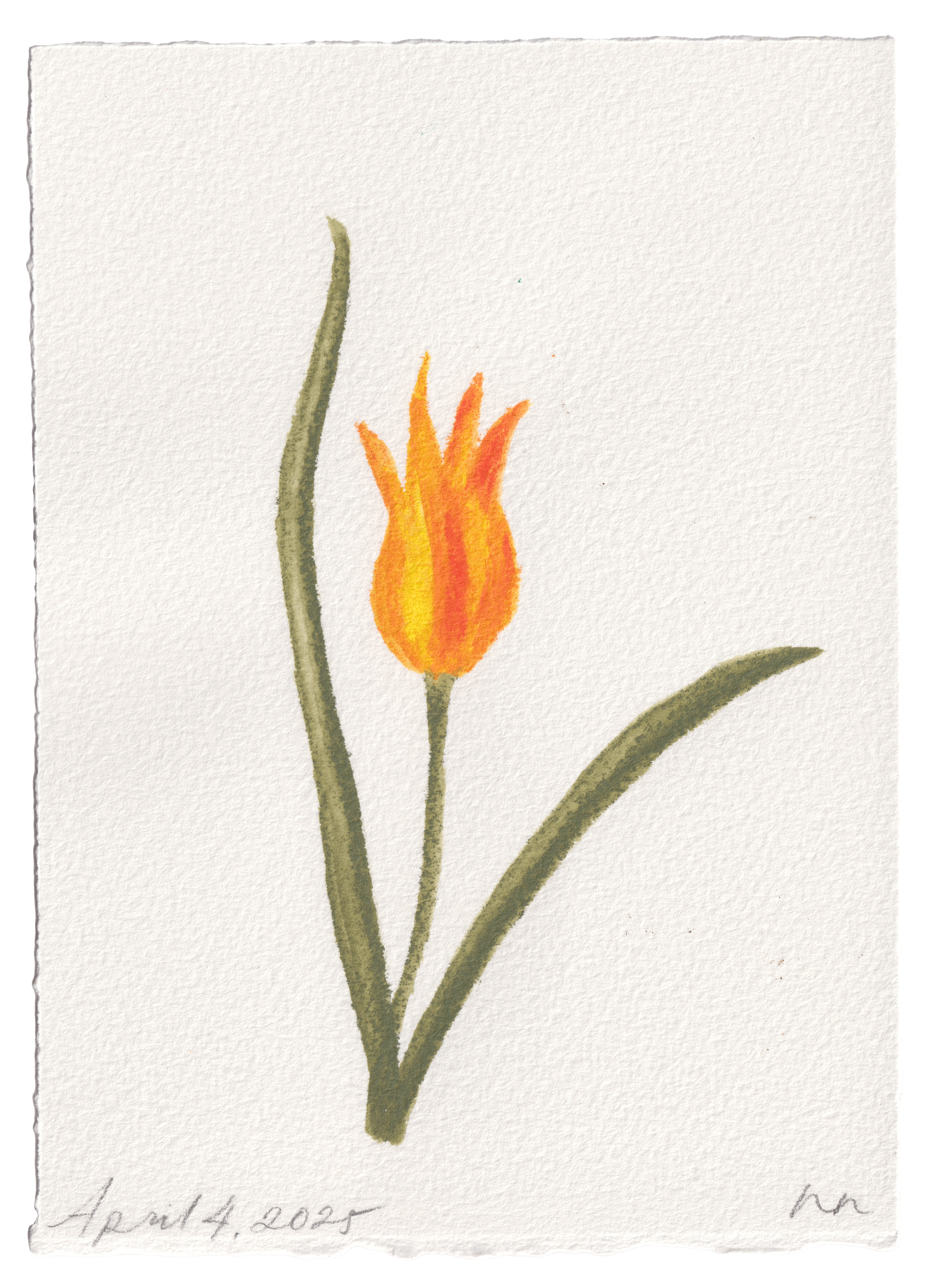 Daily Fleurs - April 4, 2025