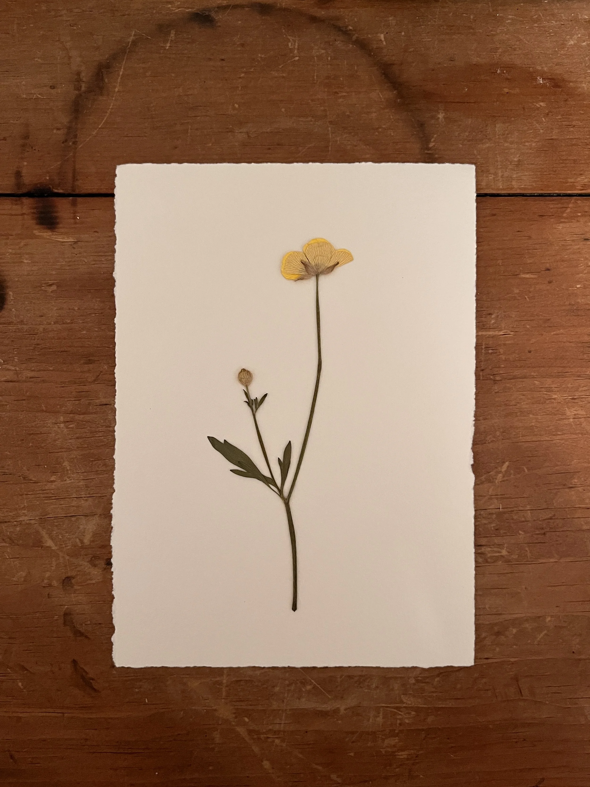 2025-03-18 21.13.26.jpg