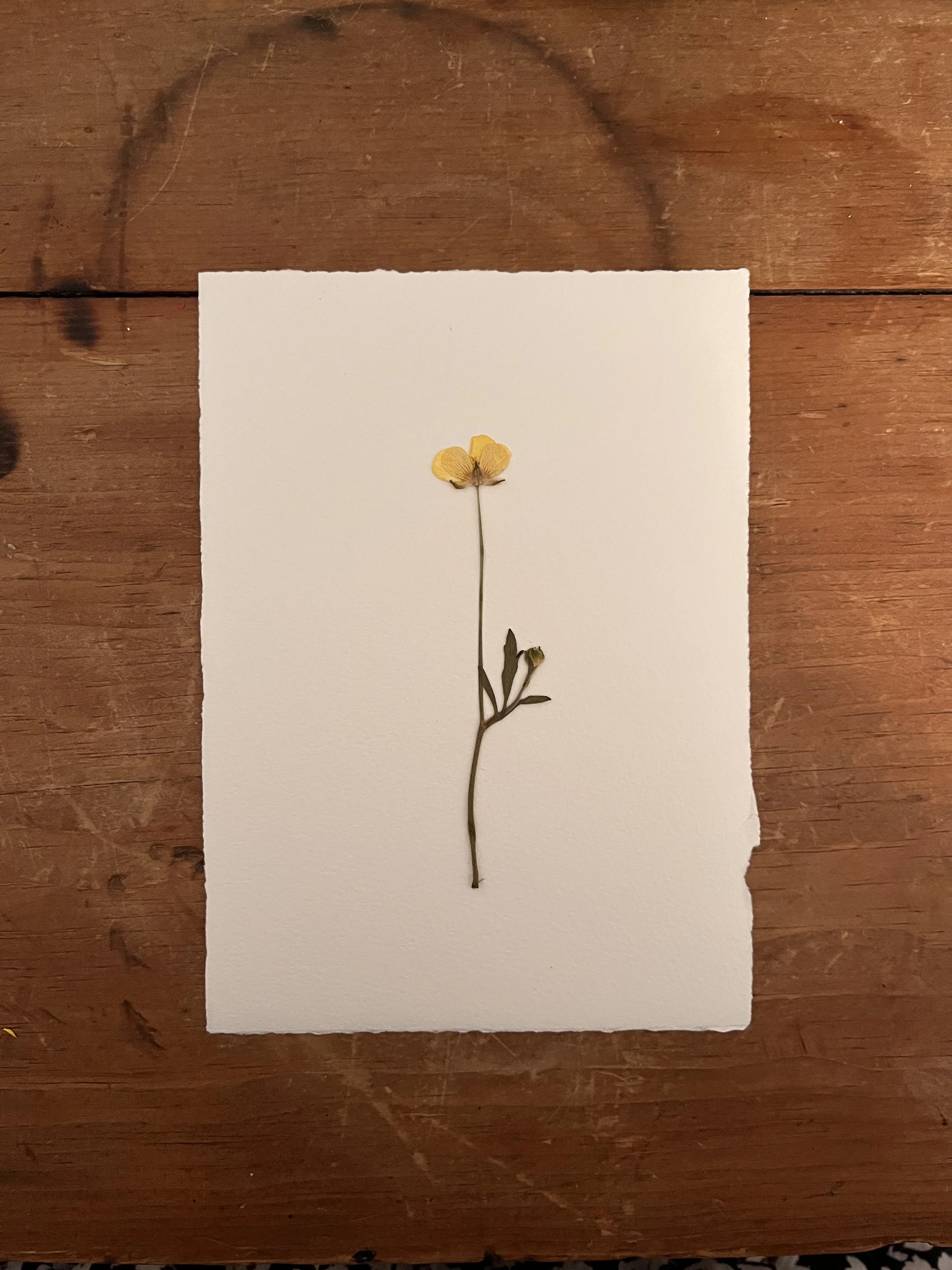 2025-03-05 07.36.22.jpg