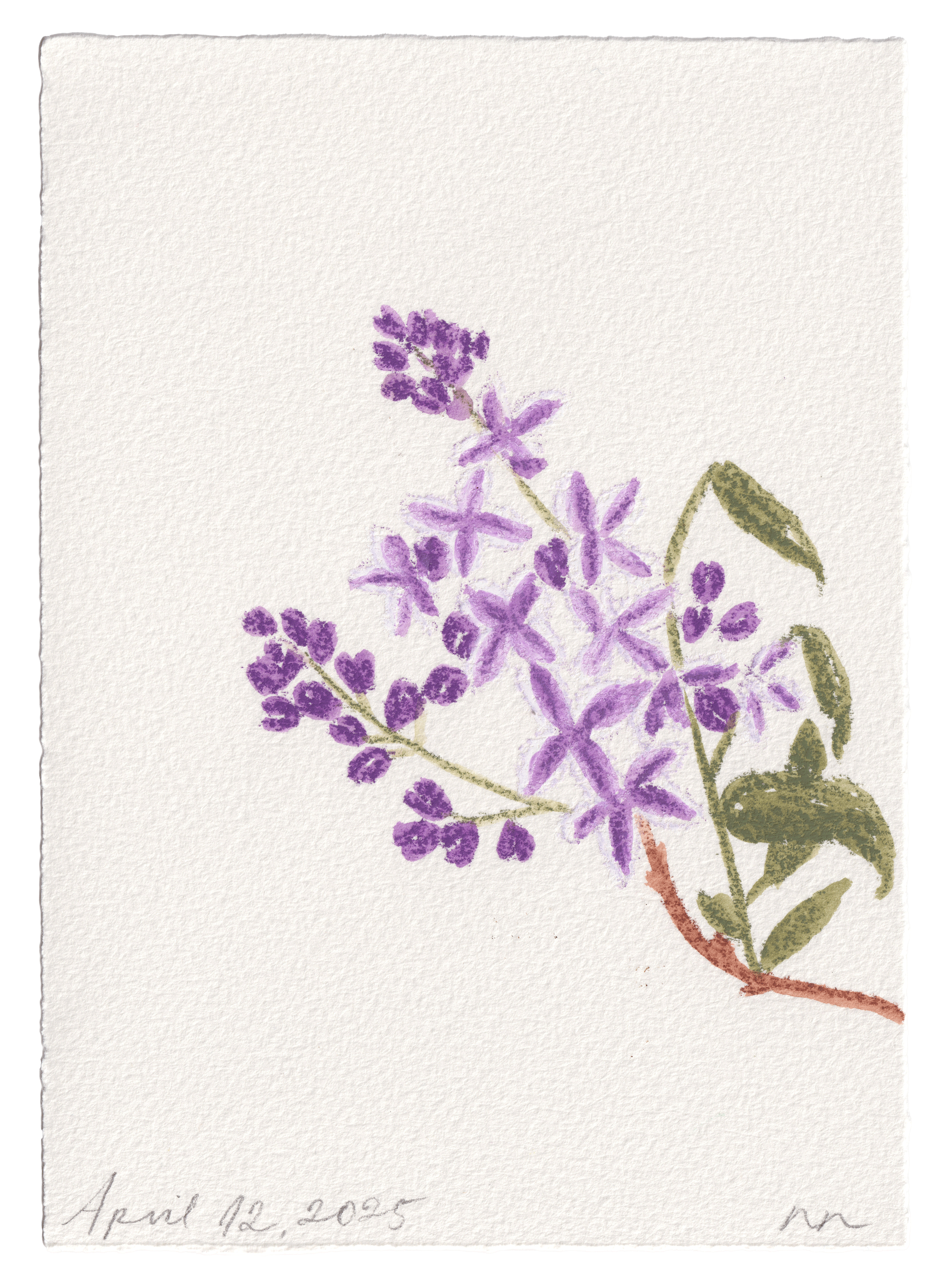 Daily Fleurs - April 12, 2025