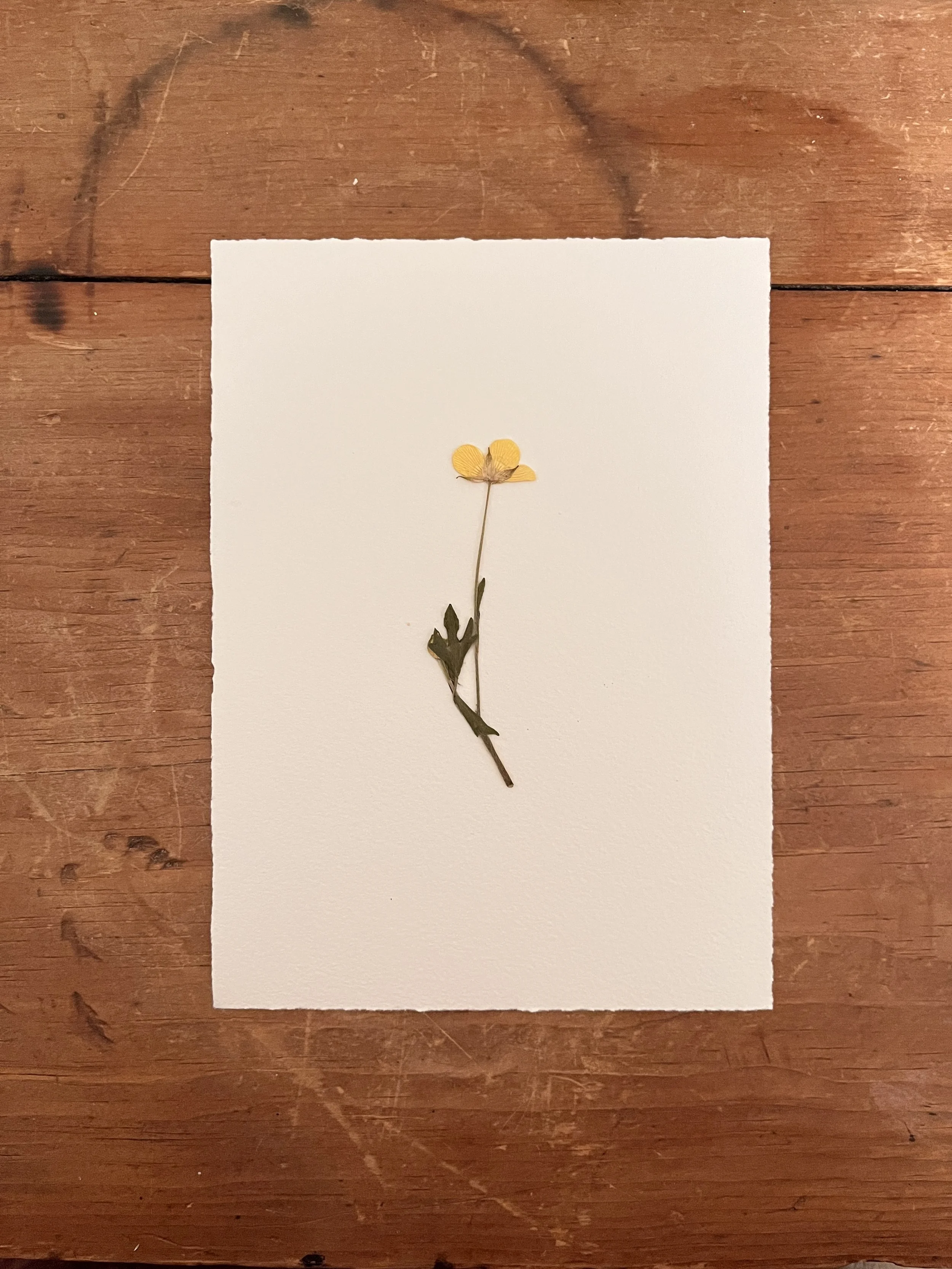 2025-03-06 19.45.05.jpg