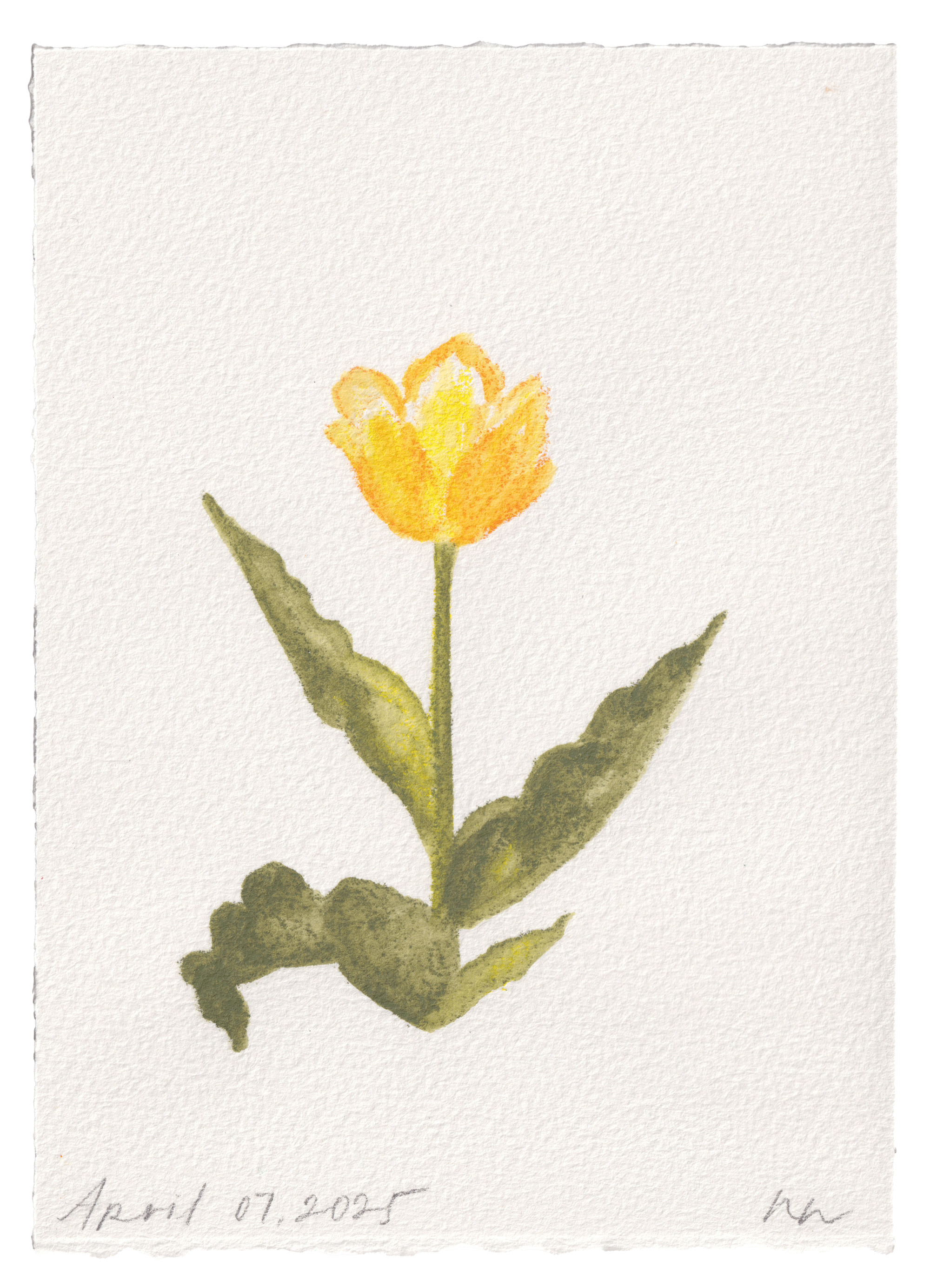 Daily Fleurs - April 7, 2025
