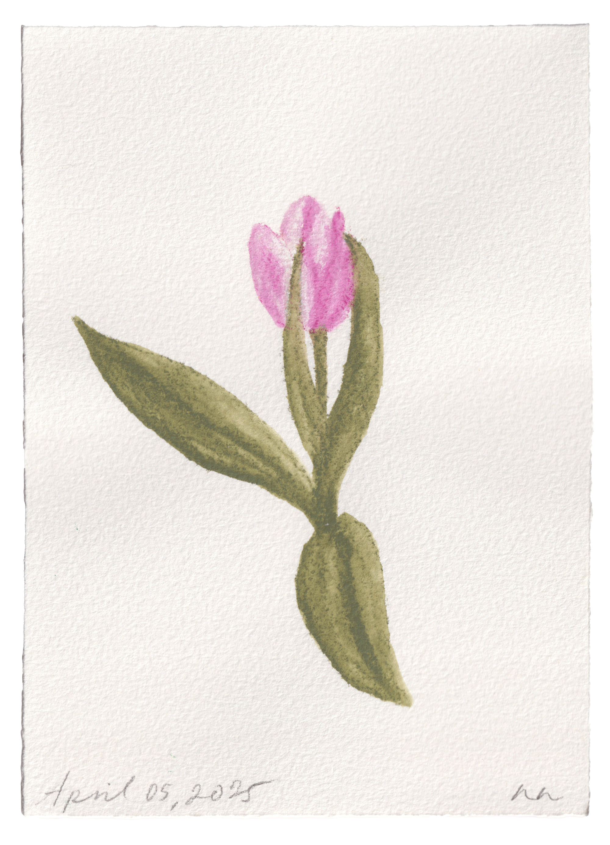 Daily Fleurs - April 5, 2025