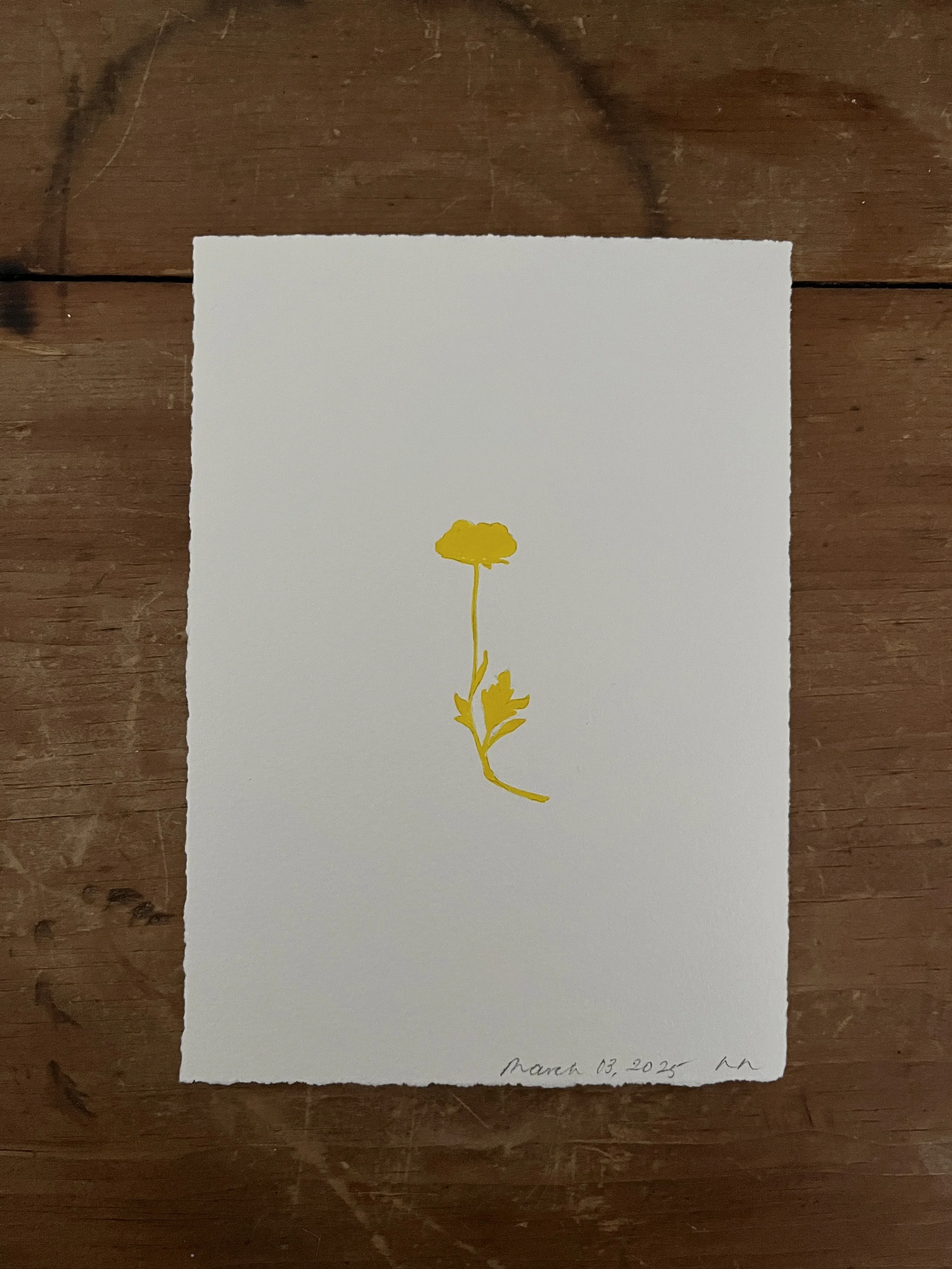 2025-03-03 08.44.15.jpg