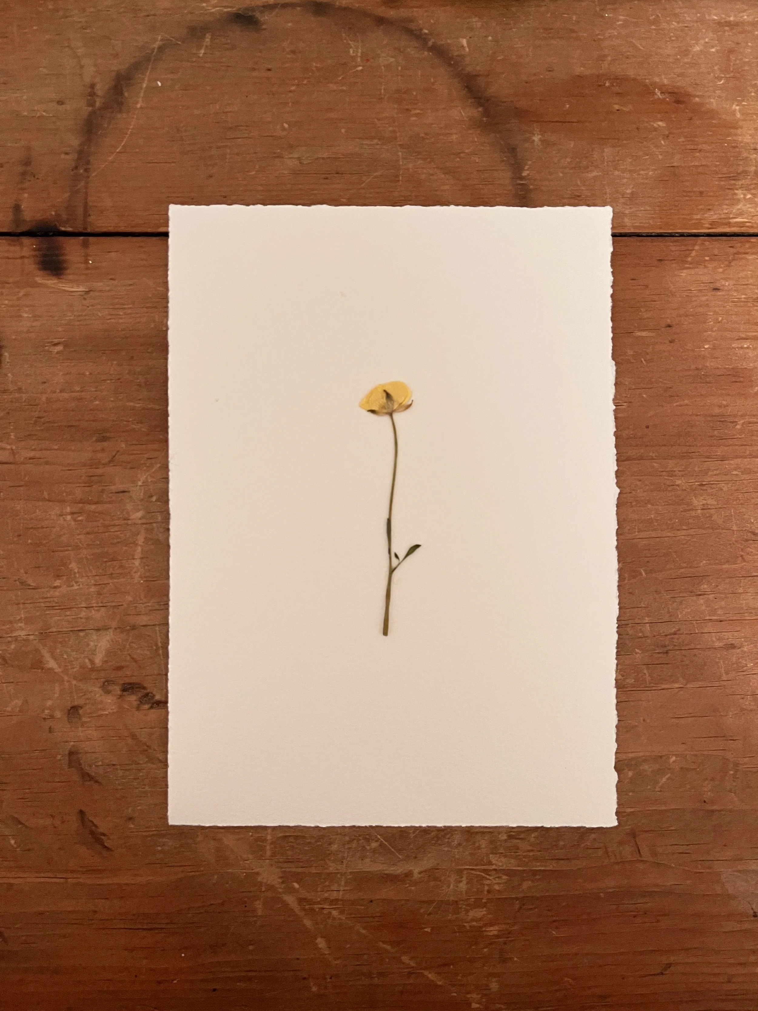 2025-03-12 21.41.09.jpg