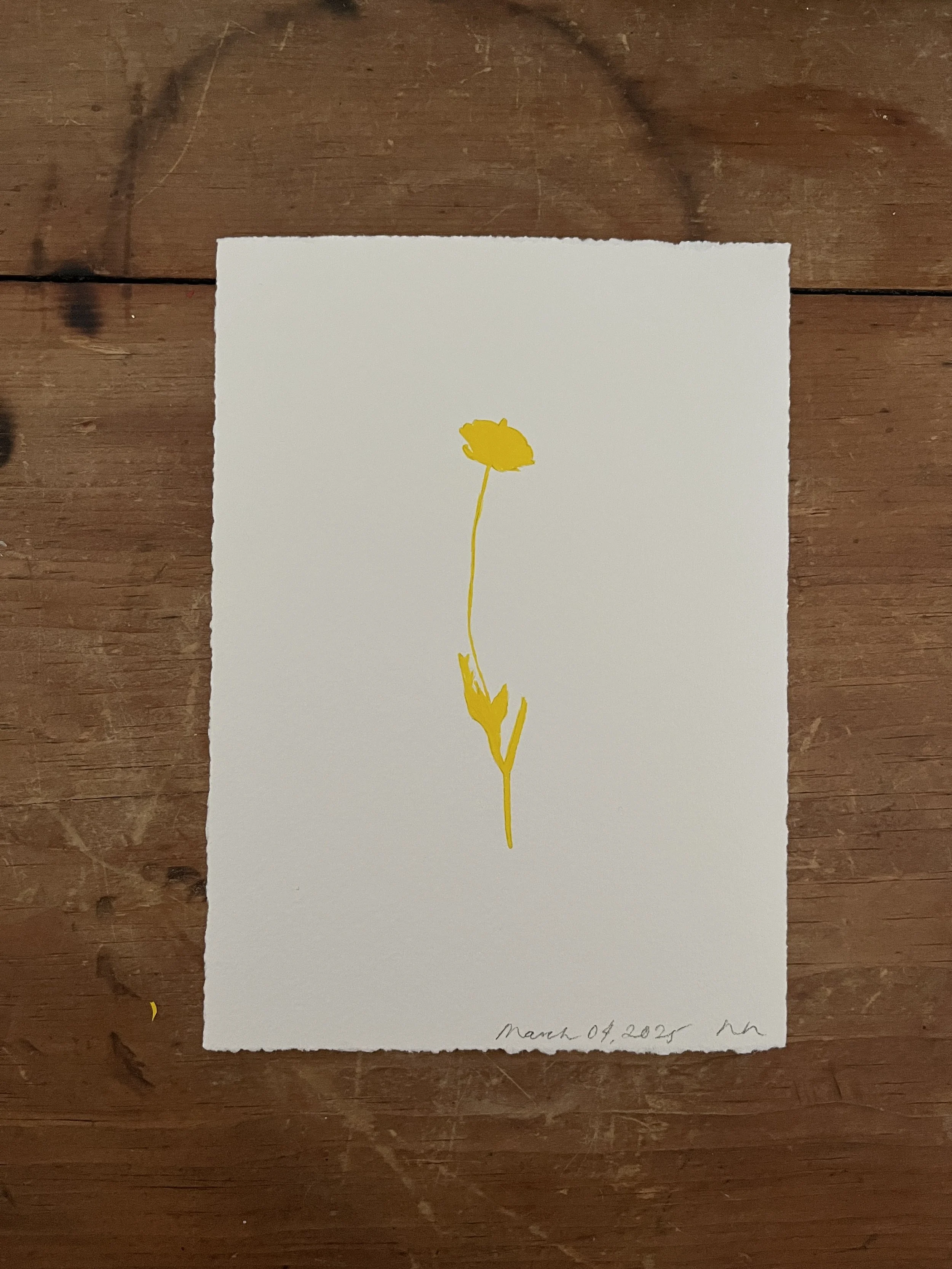 2025-03-04 14.10.49.jpg