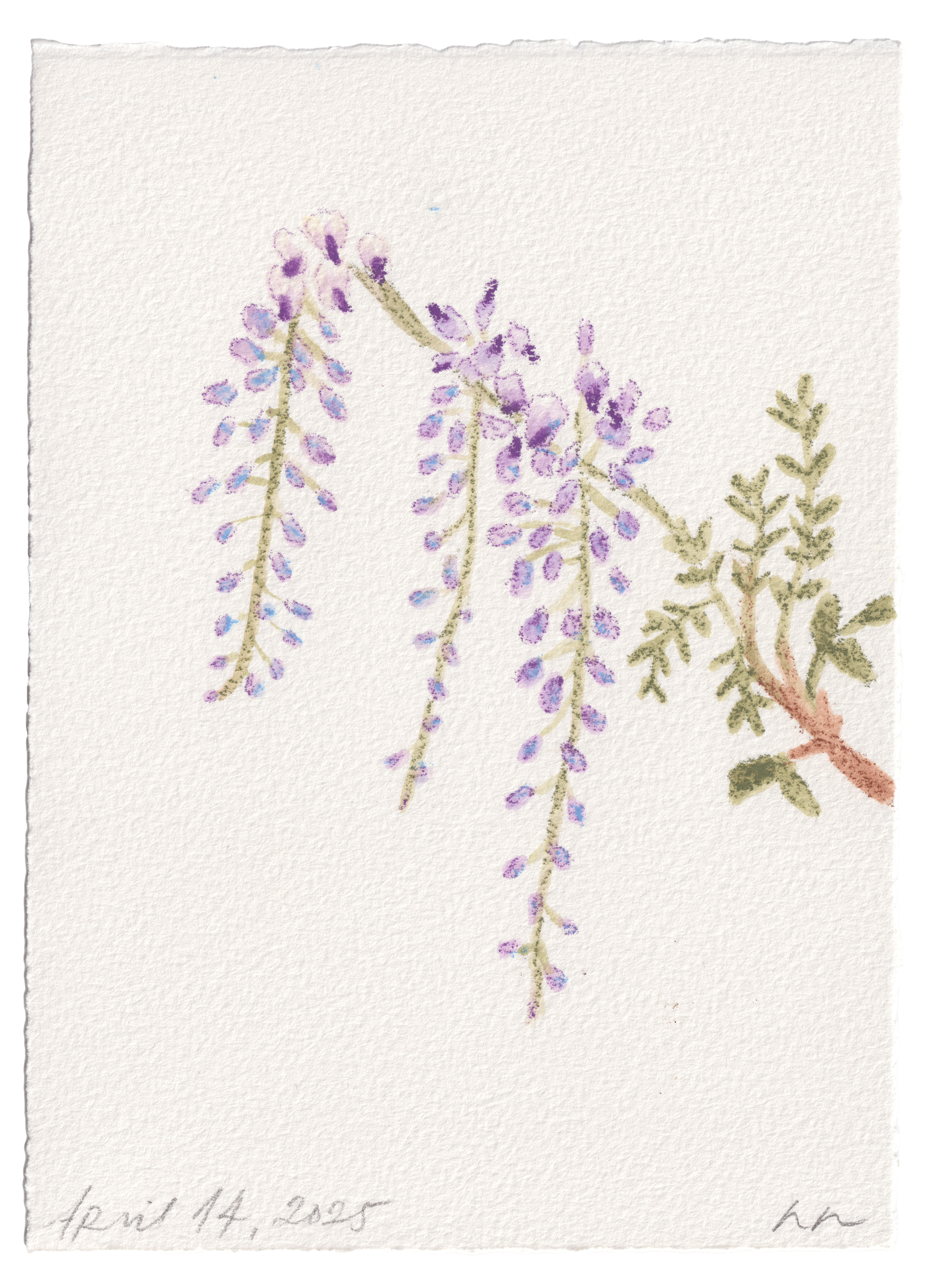 Daily Fleurs - April 14, 2025