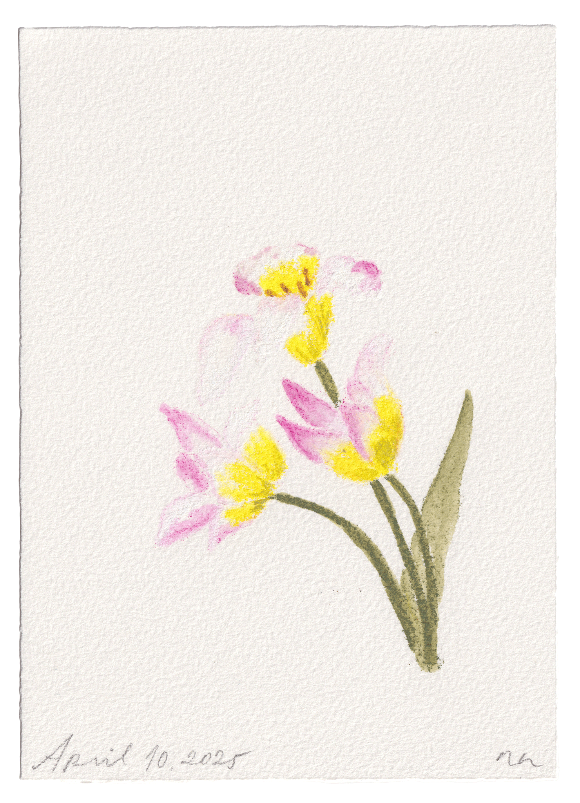 Daily Fleurs - April 10, 2025