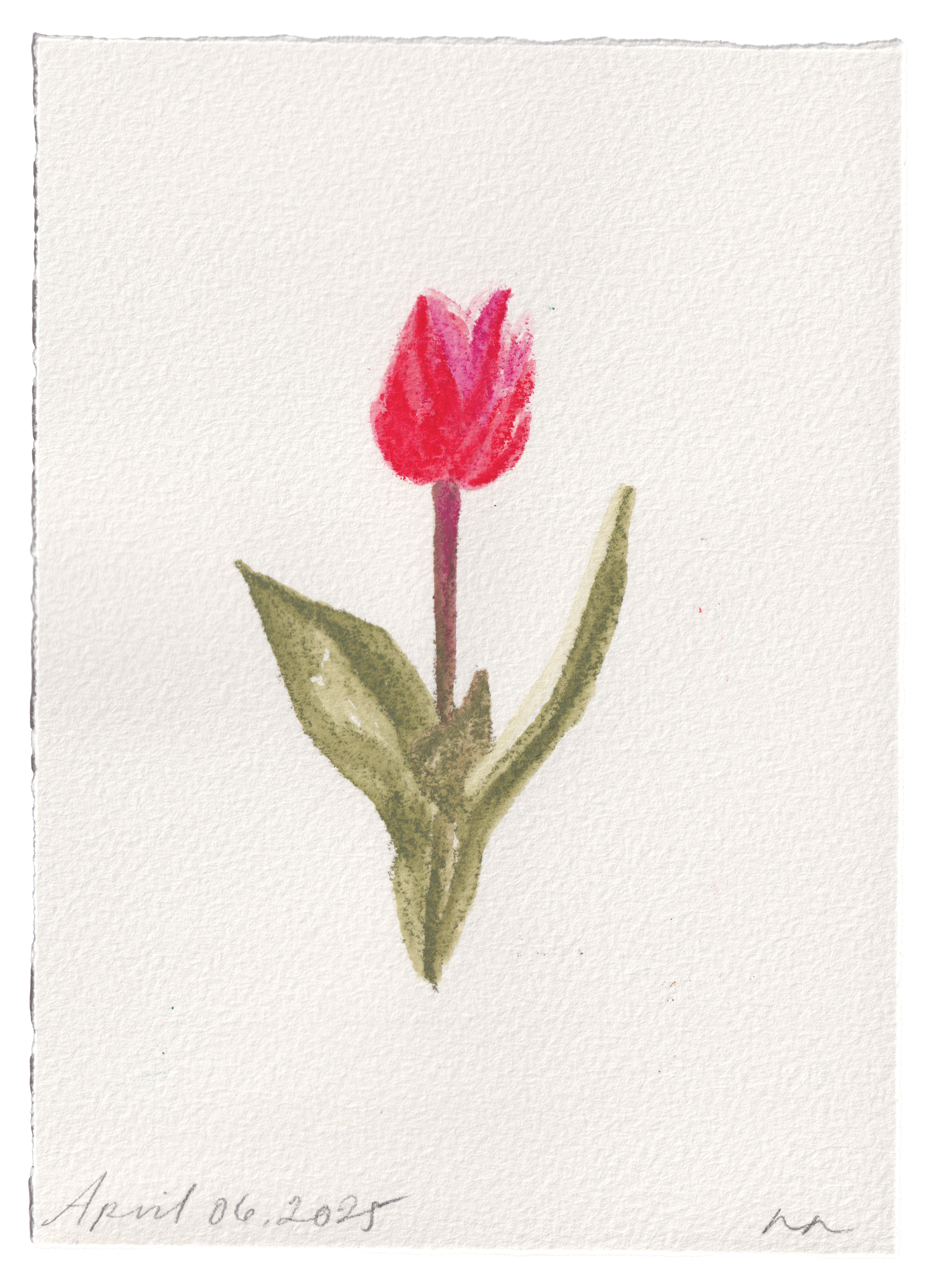 Daily Fleurs - April 6, 2025