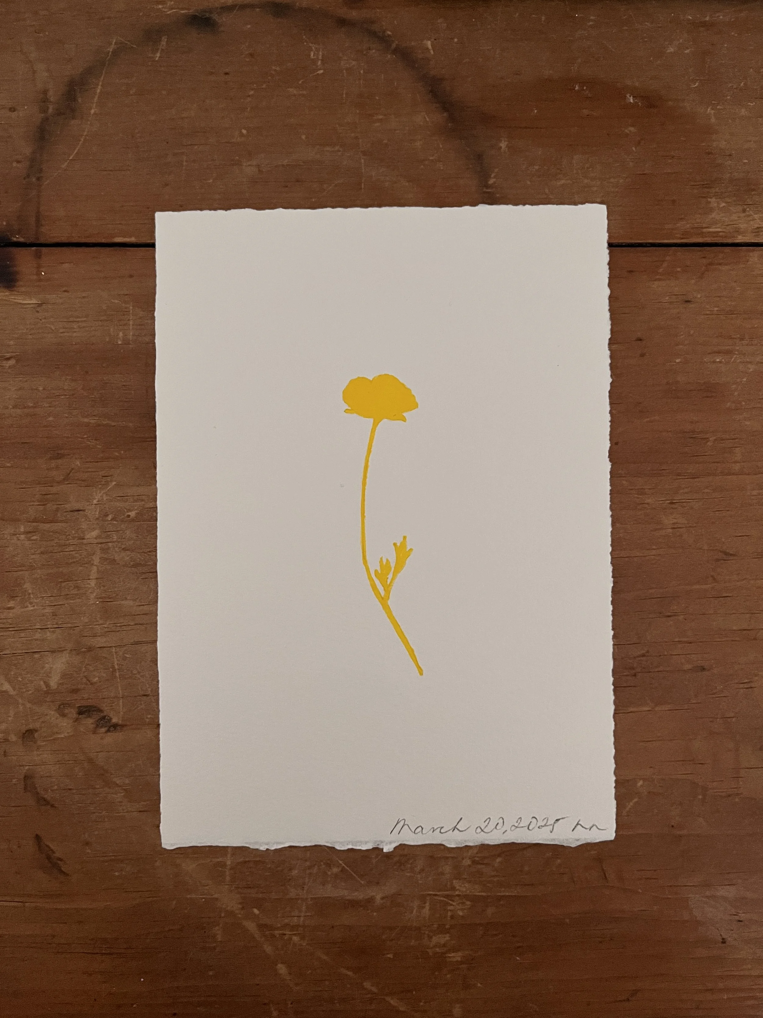 2025-03-20 11.43.38.jpg