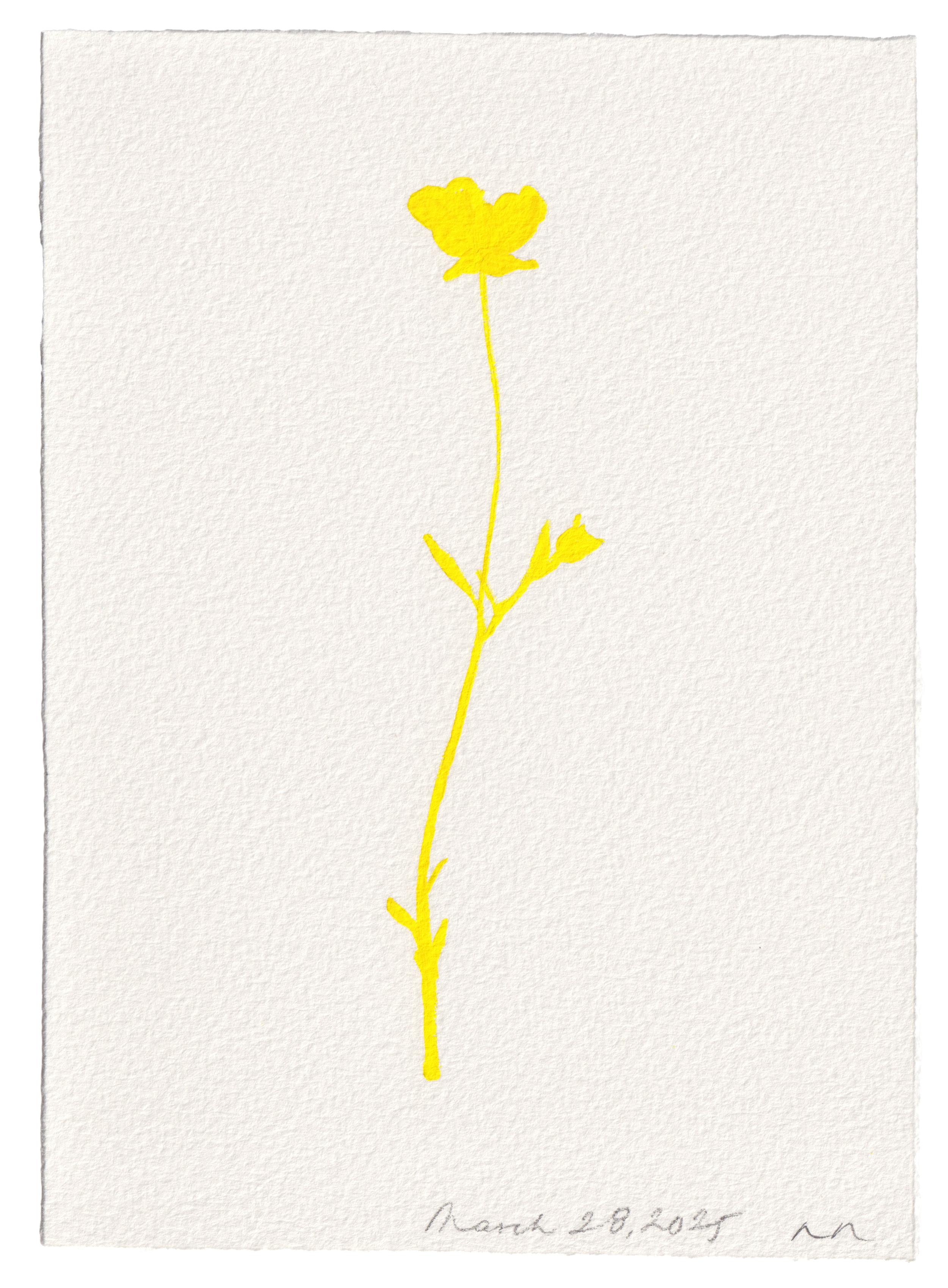Beacon-of-Light-28.png