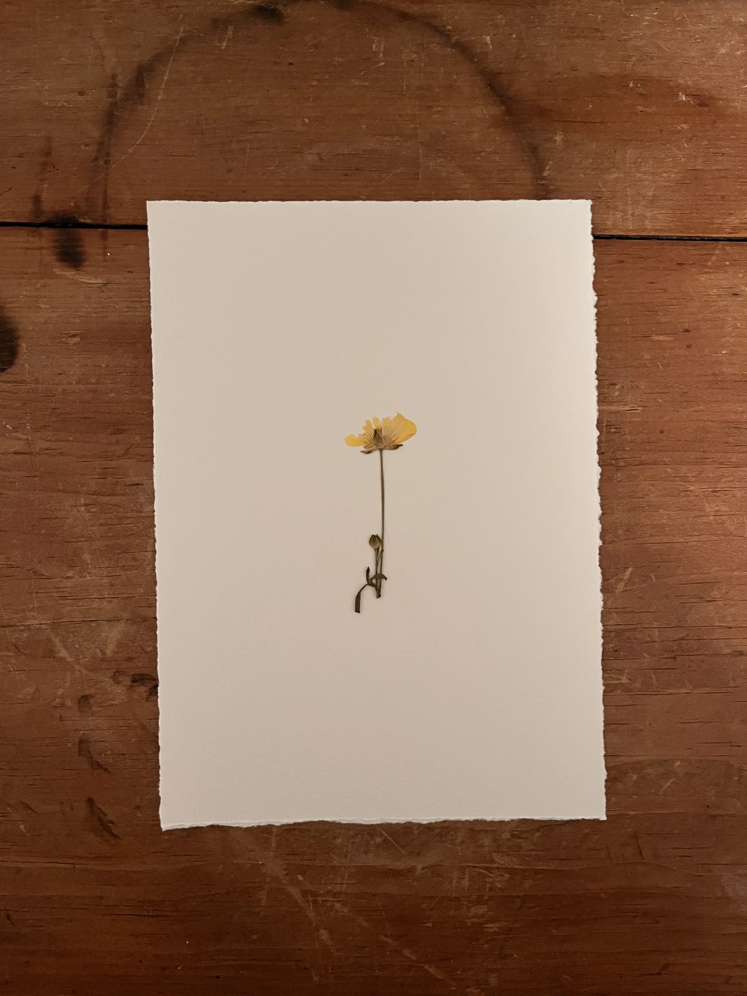 2025-03-26 22.45.23.jpg