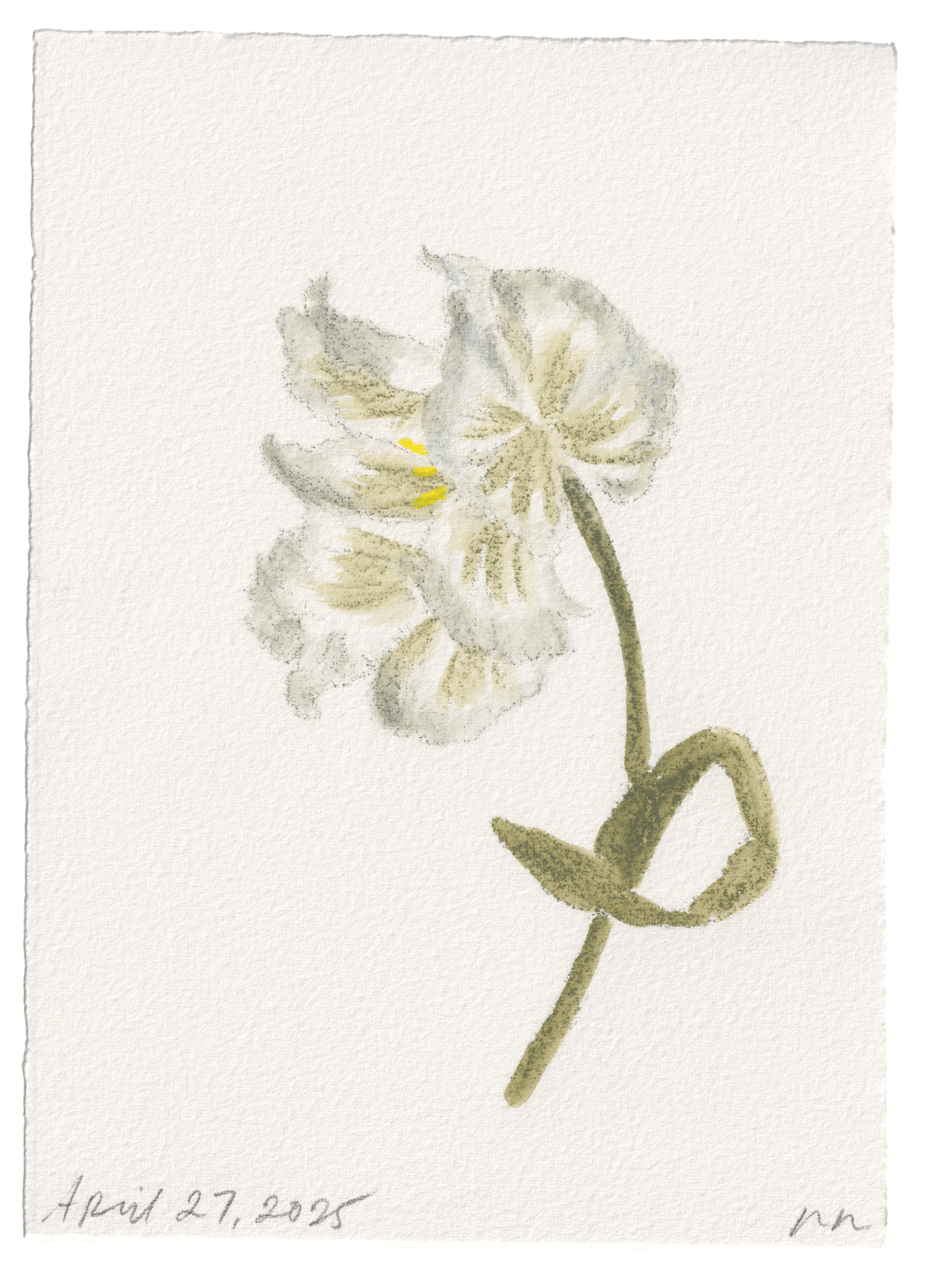 Daily Fleurs - April 27, 2025