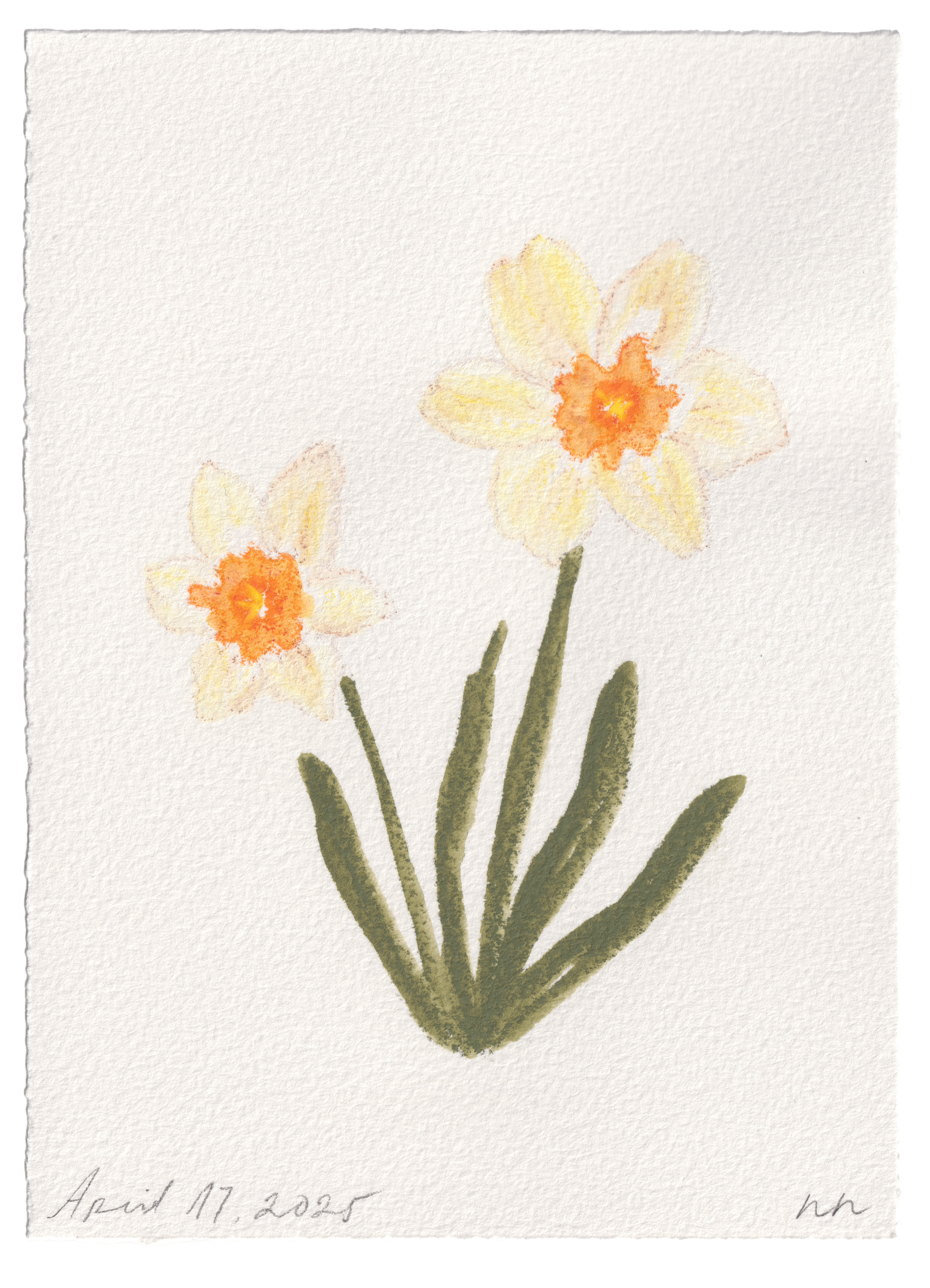 Daily Fleurs - April 17, 2025