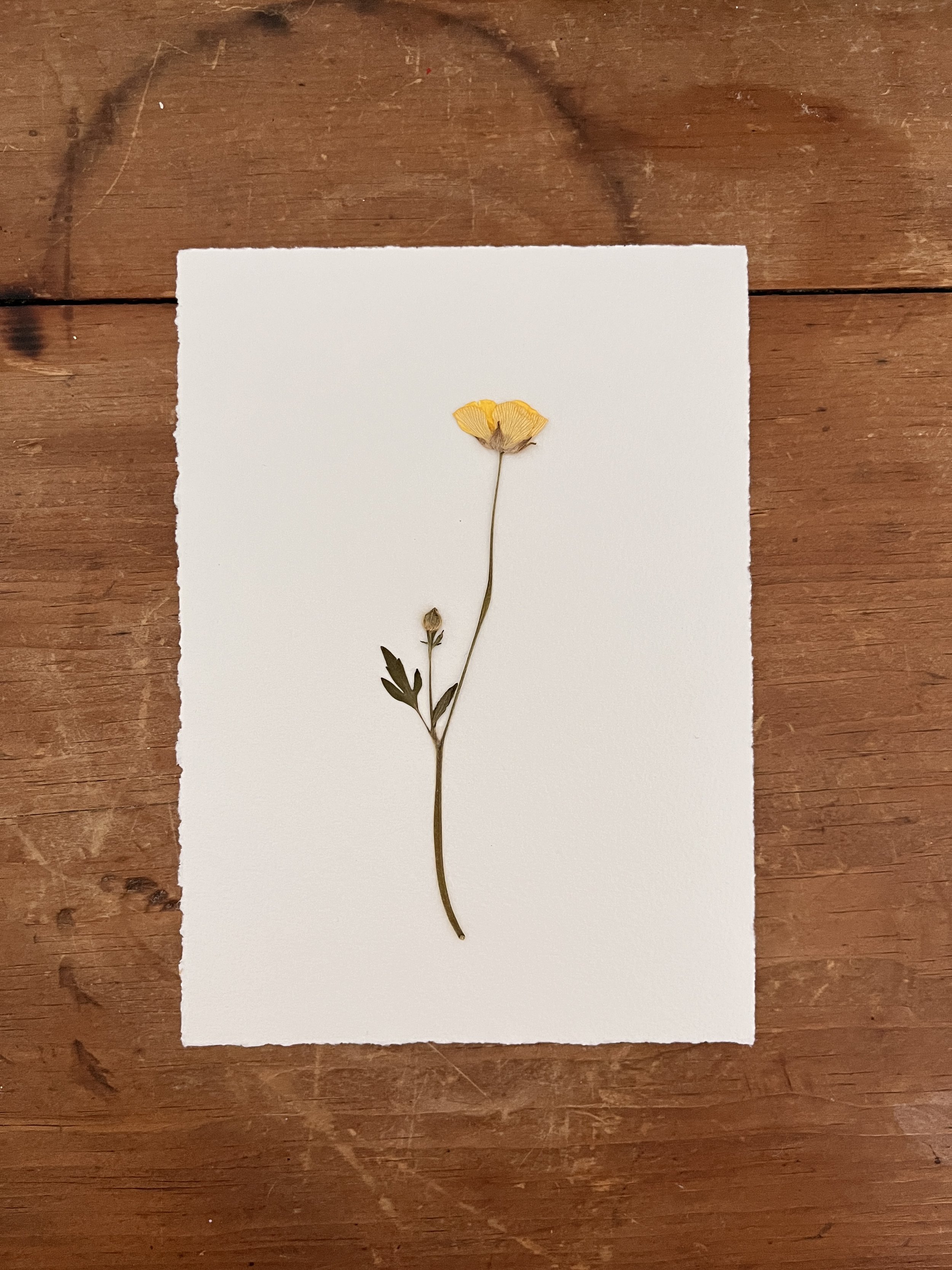 2025-03-16 10.57.19.jpg