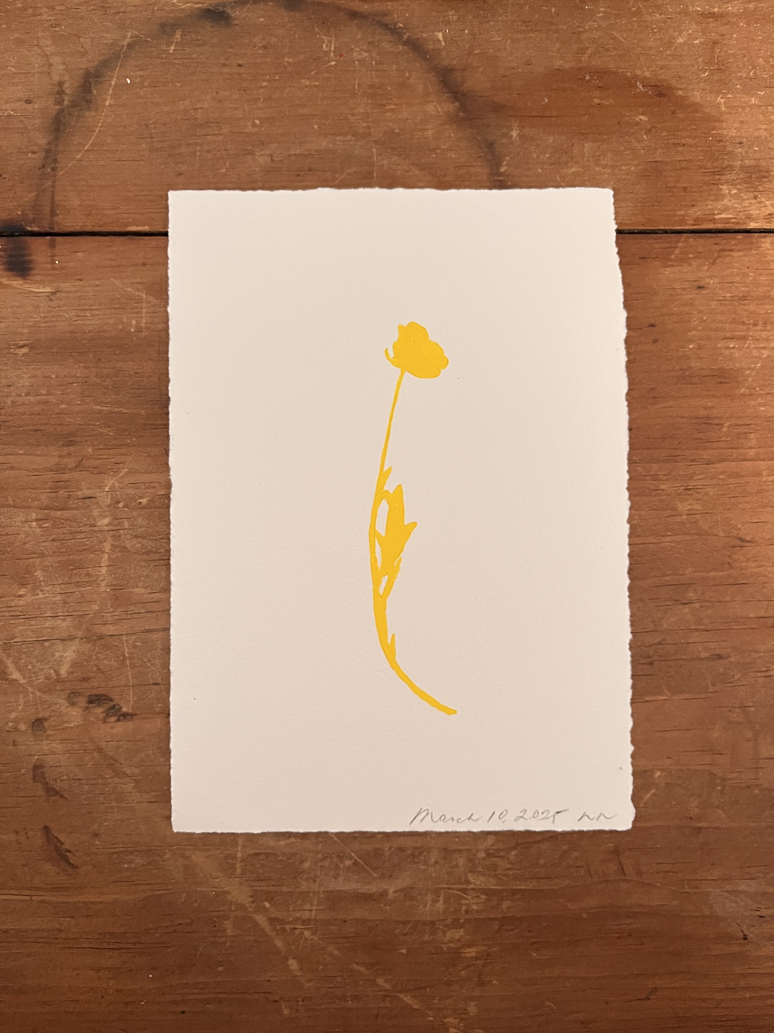 2025-03-10 08.49.41.jpg