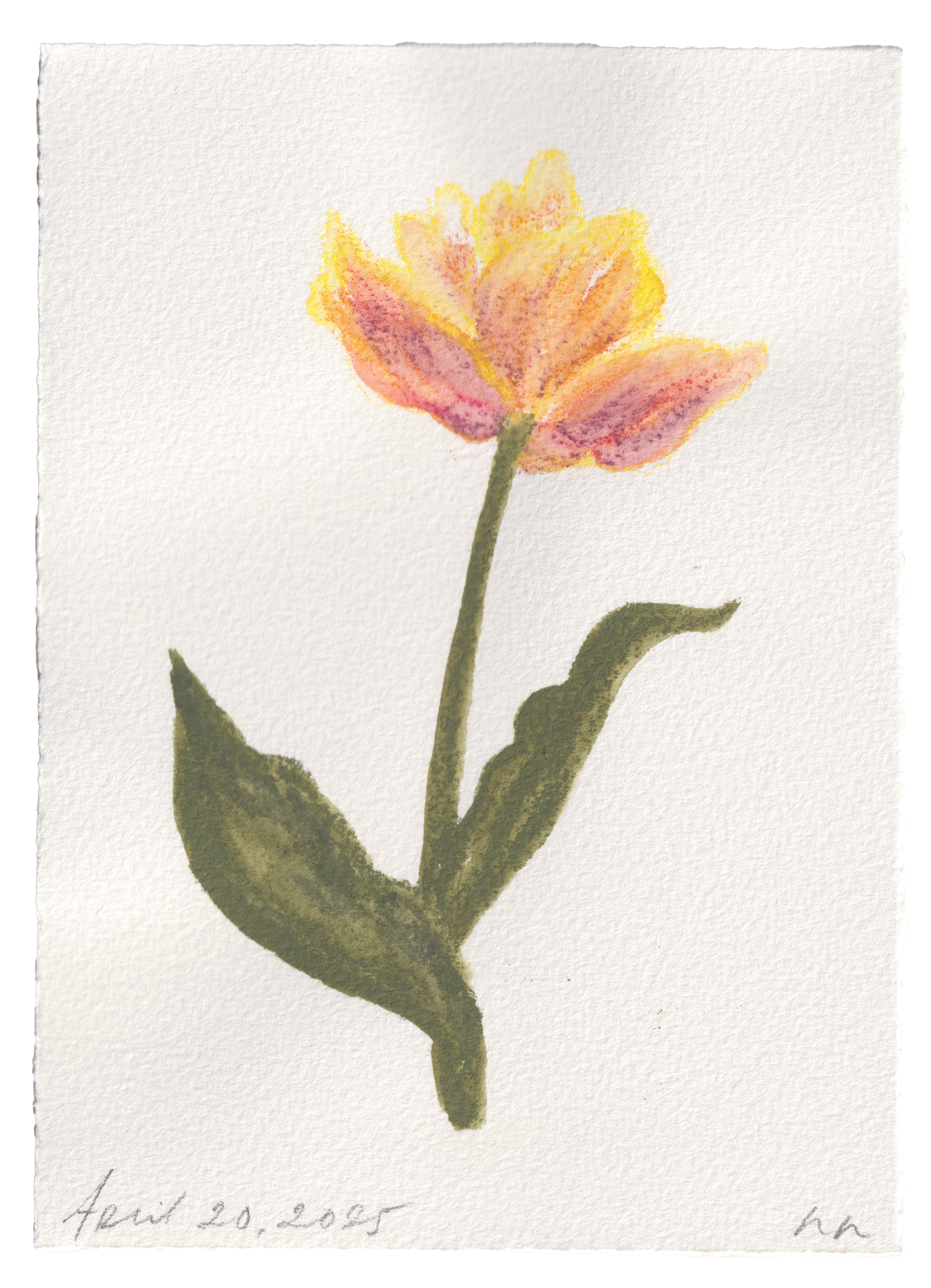 Daily Fleurs - April 20, 2025