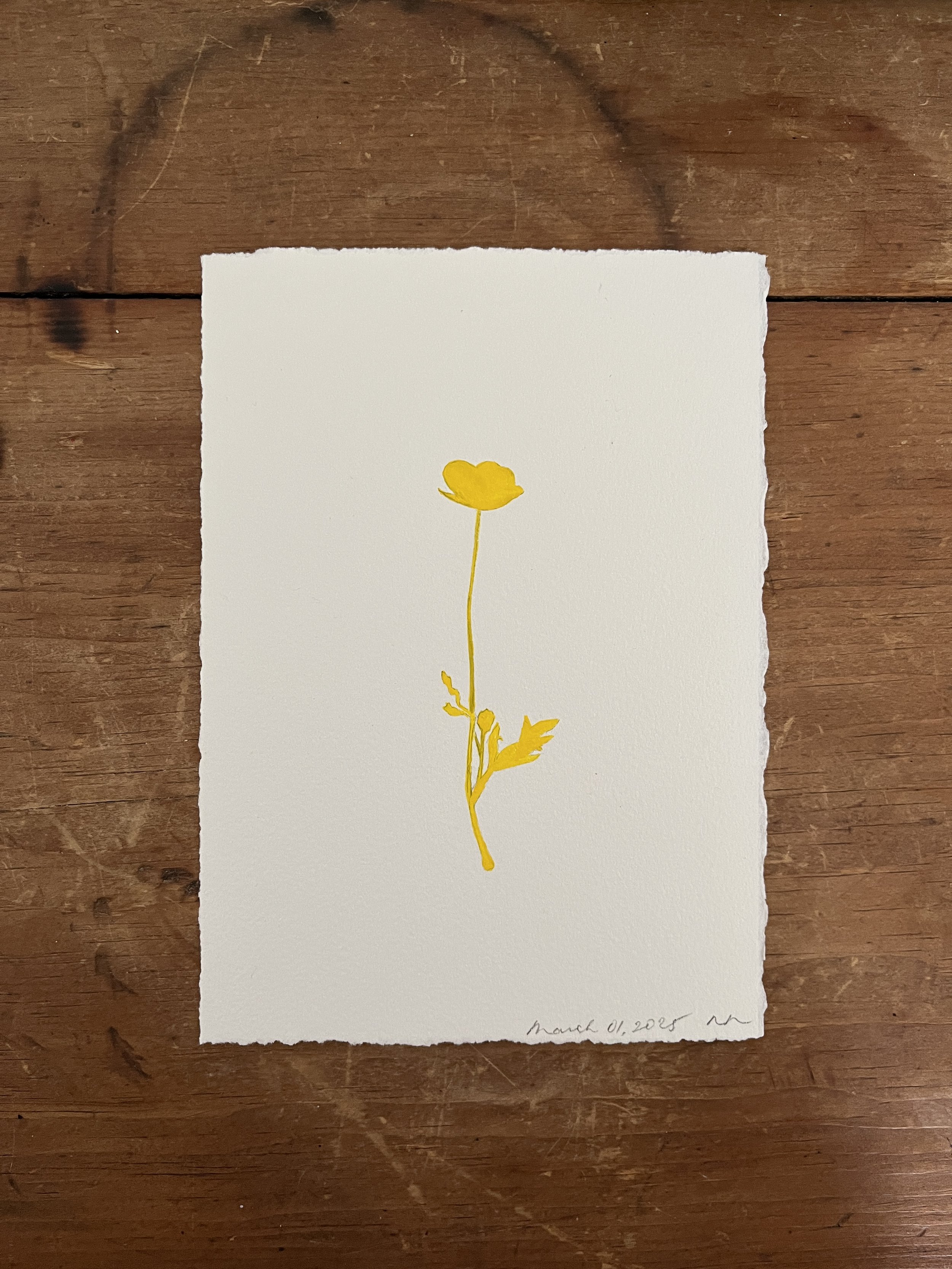 2025-03-01 12.09.29.jpg