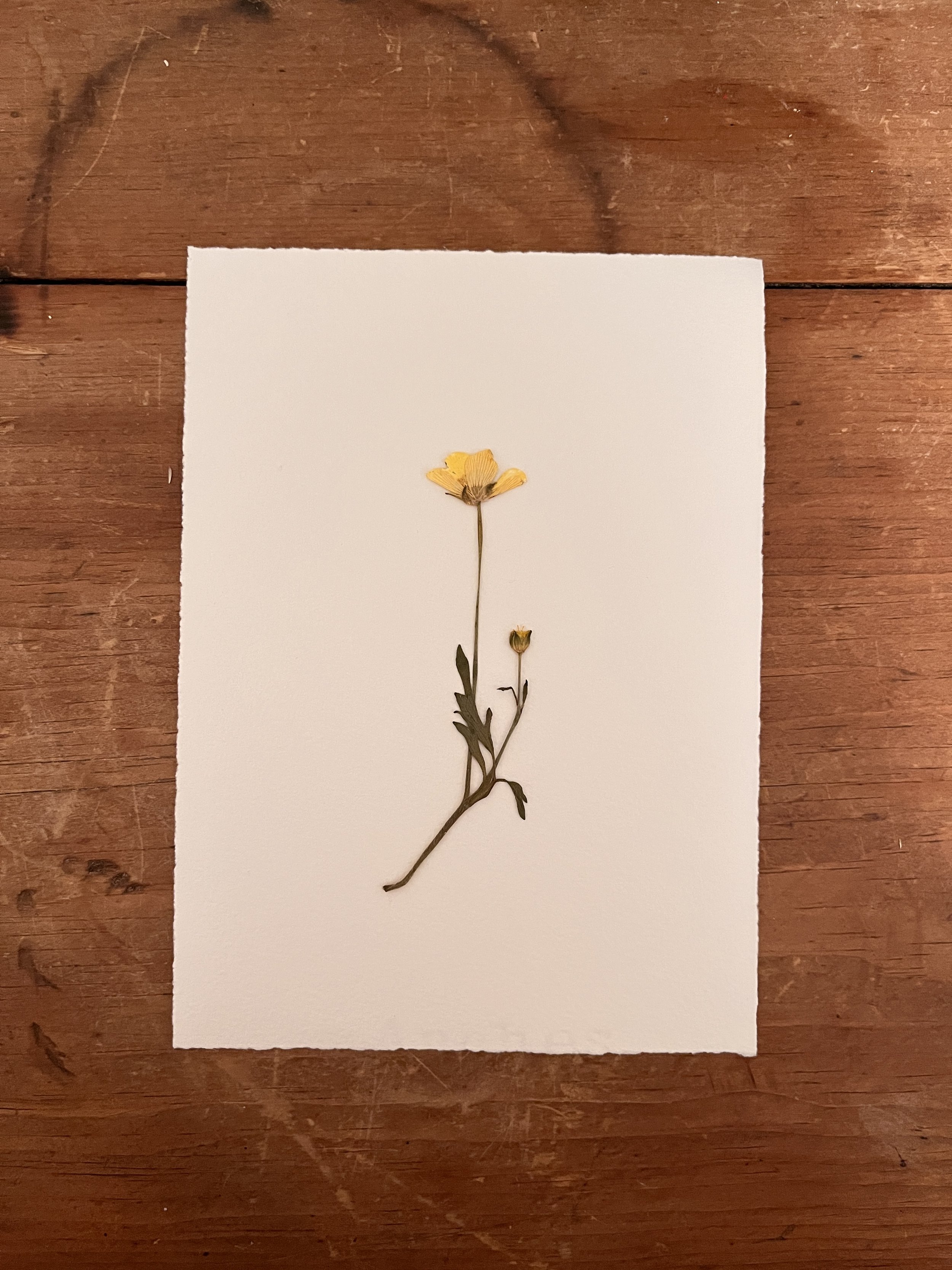 2025-03-07 22.44.29.jpg