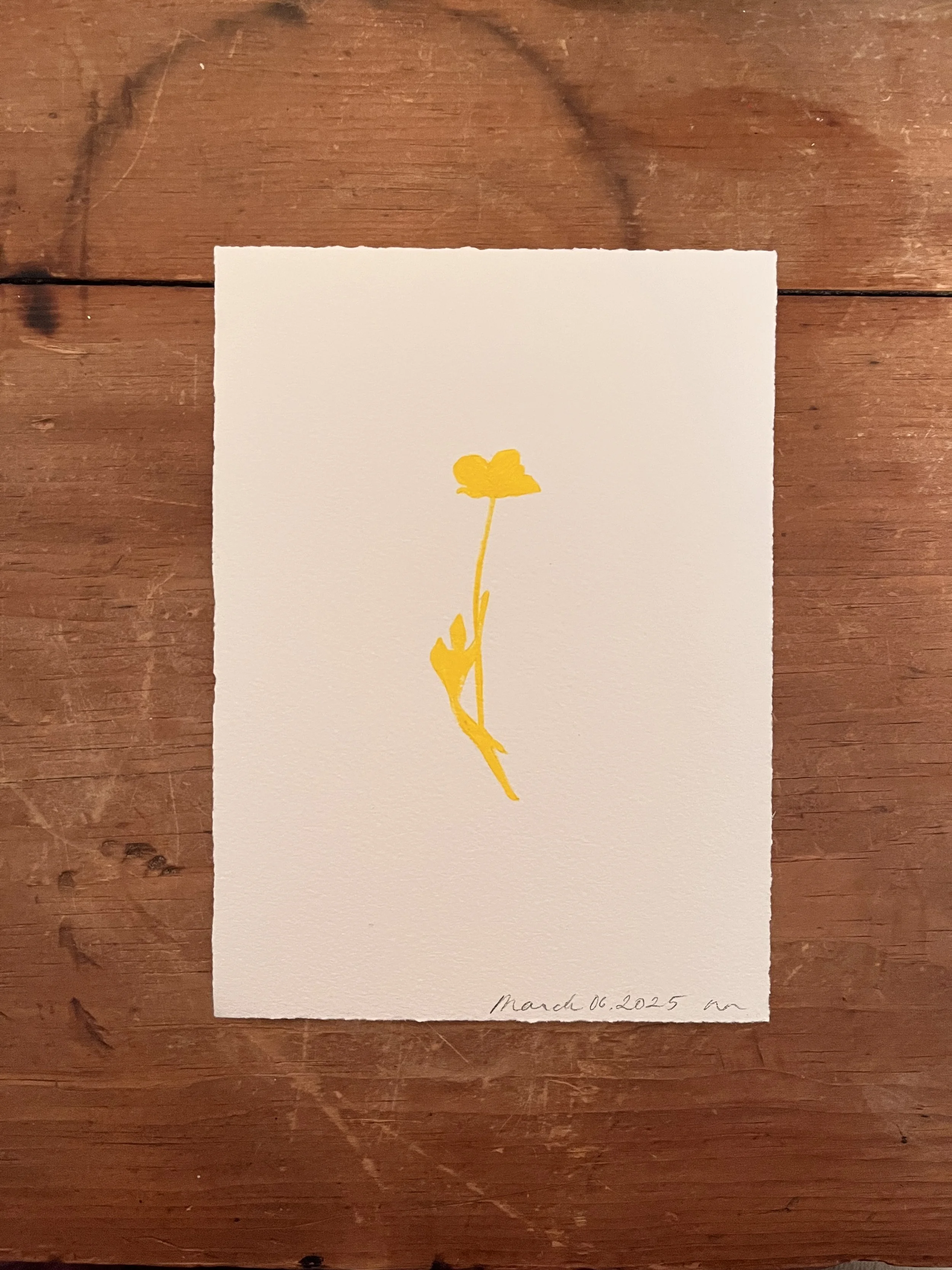 2025-03-06 19.52.08.jpg