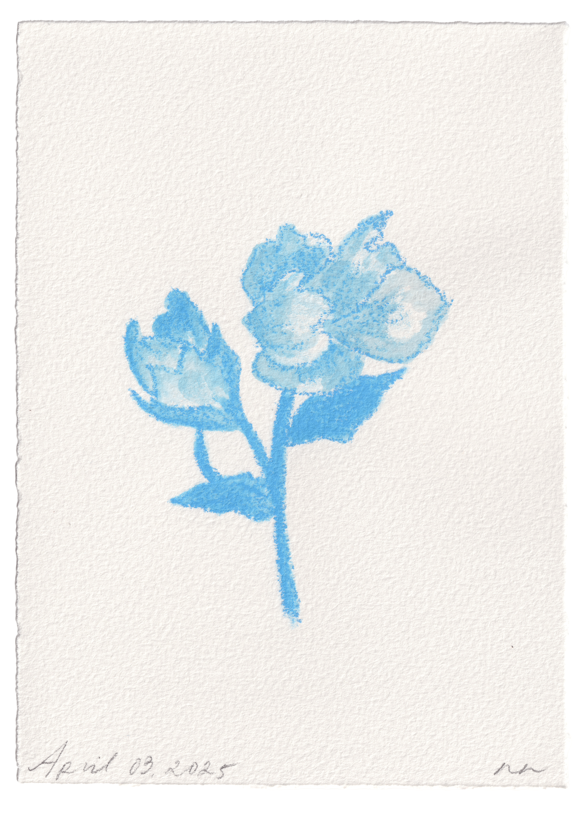 Daily Fleurs - April 3, 2025