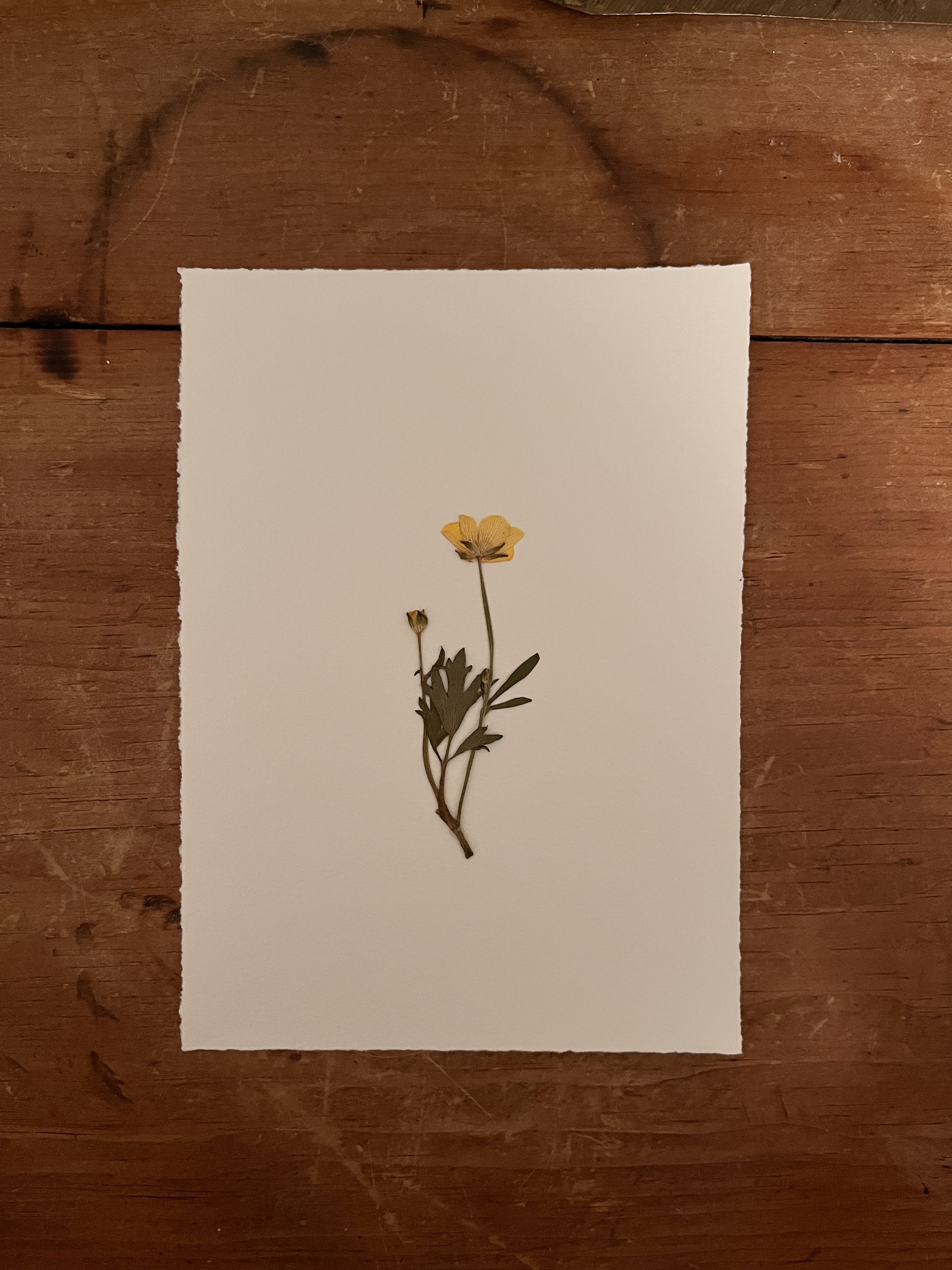 2025-03-31 21.29.55.jpg