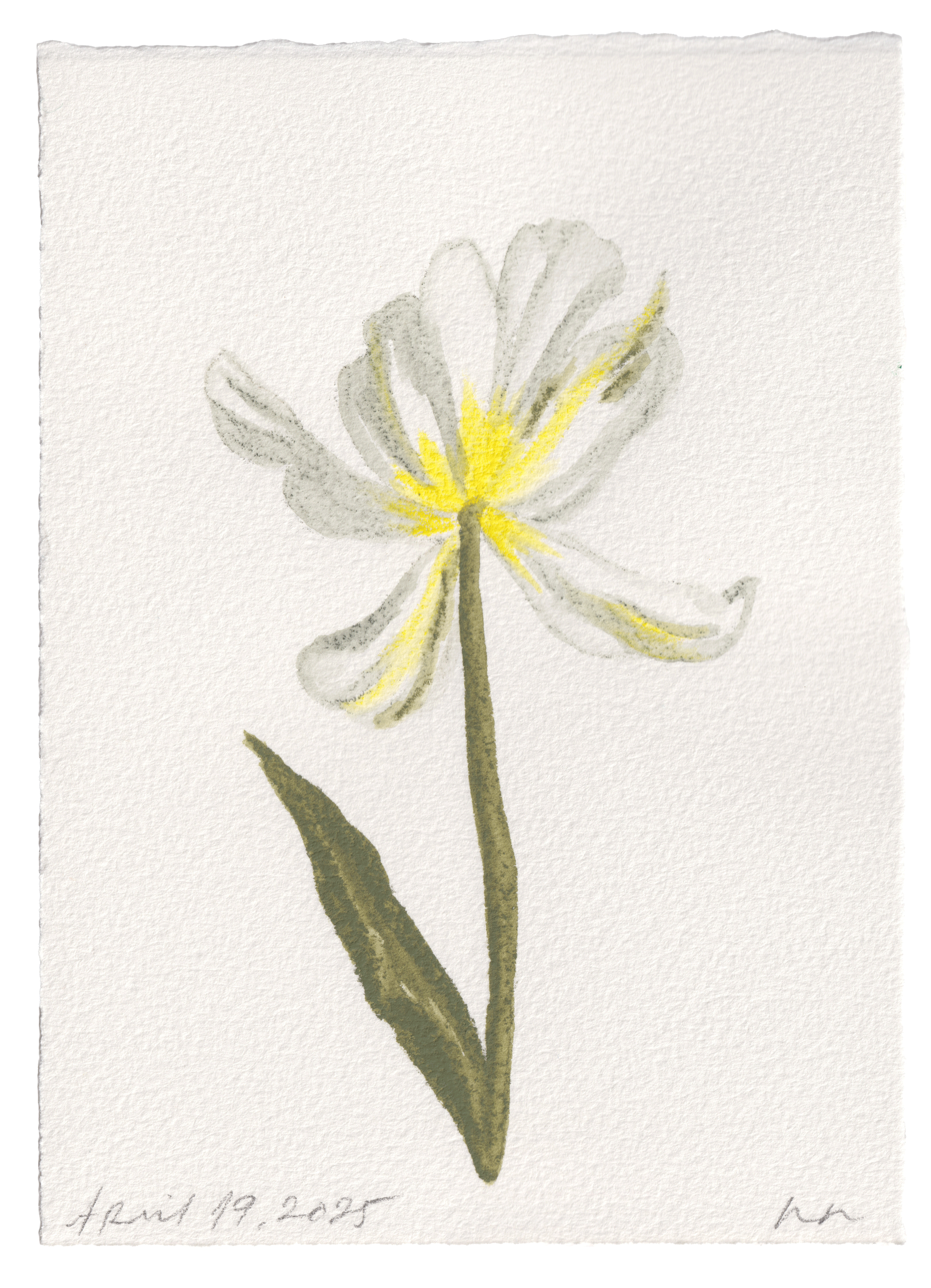 Daily Fleurs - April 19, 2025