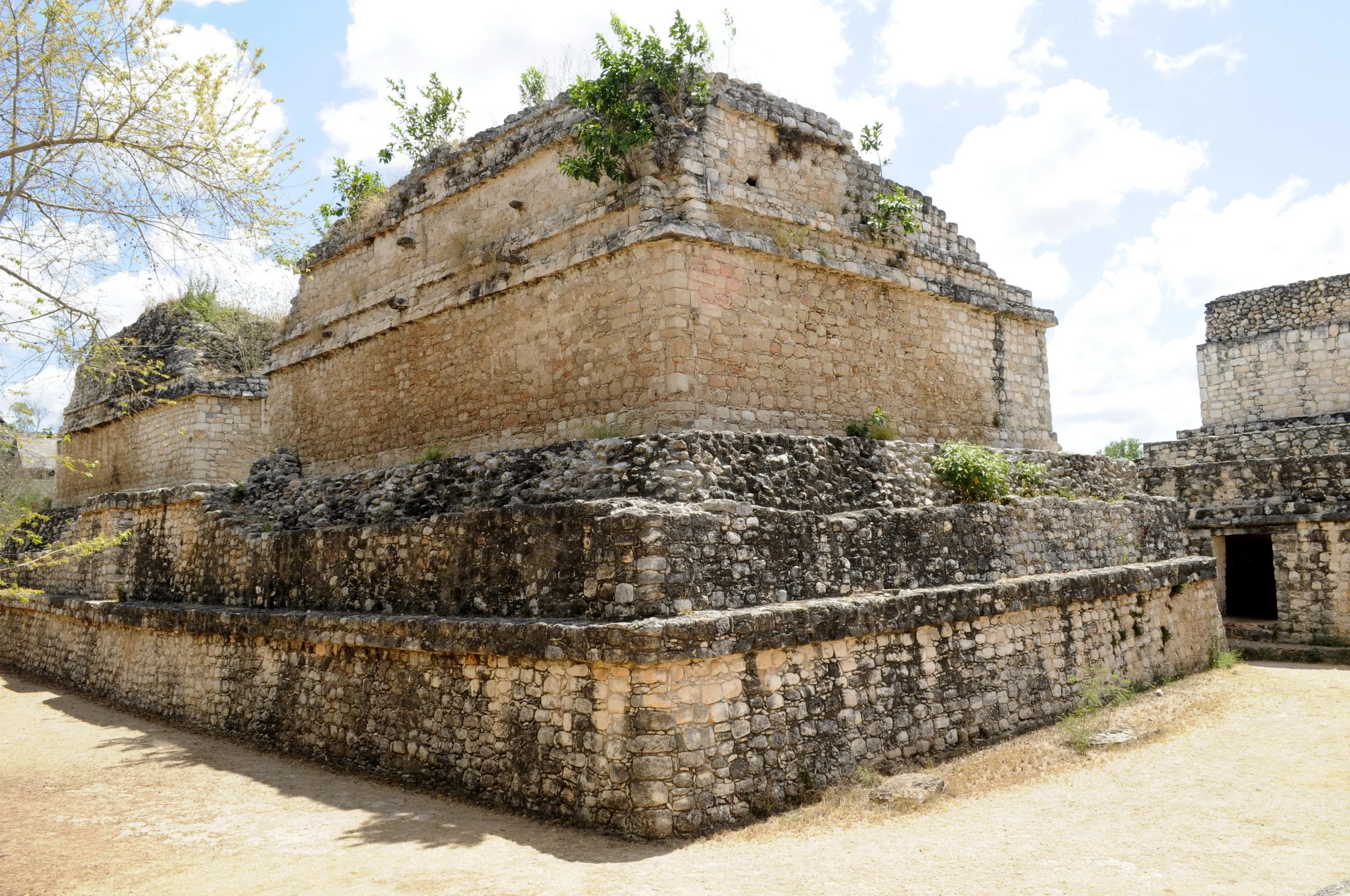 DSC_21111_25.JPG
