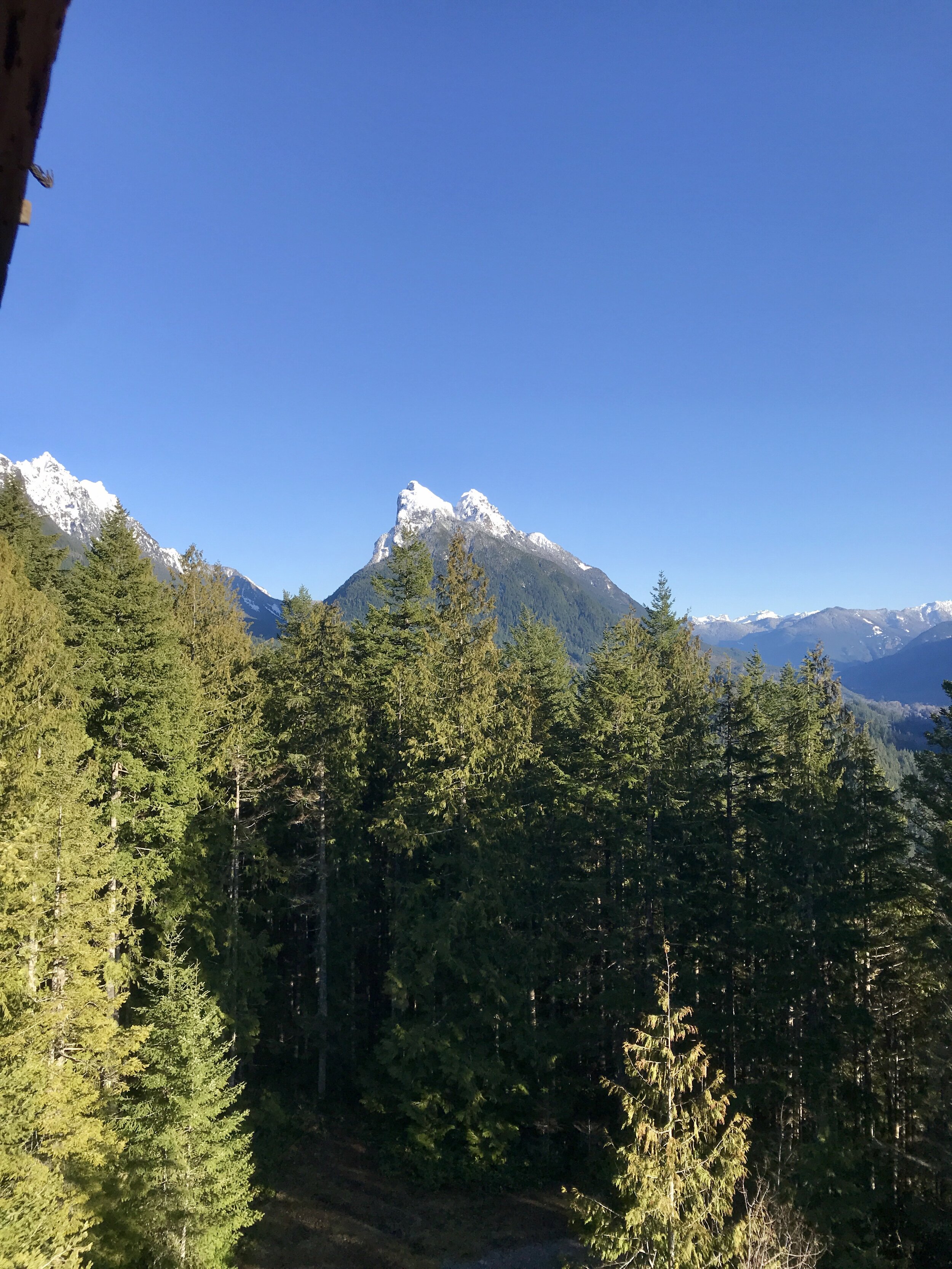 E08052AE-C27C-4E0C-925A-F0909FF6309C.jpeg