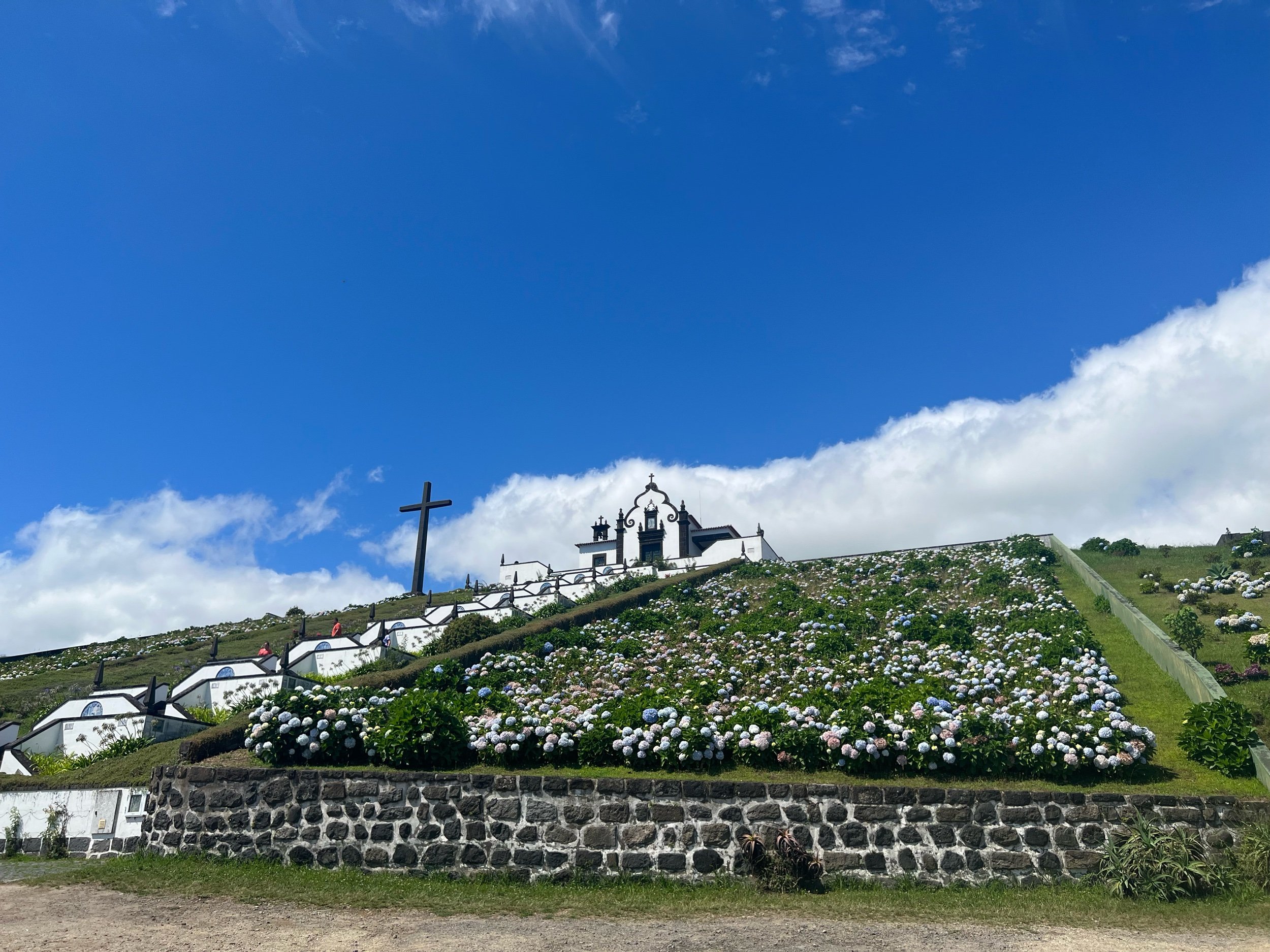 IMG_4439.jpeg