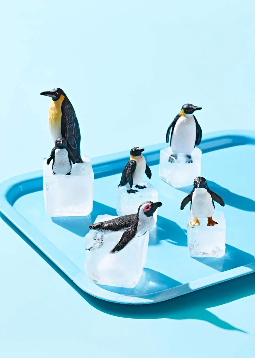  Photography by Kate Mathis 