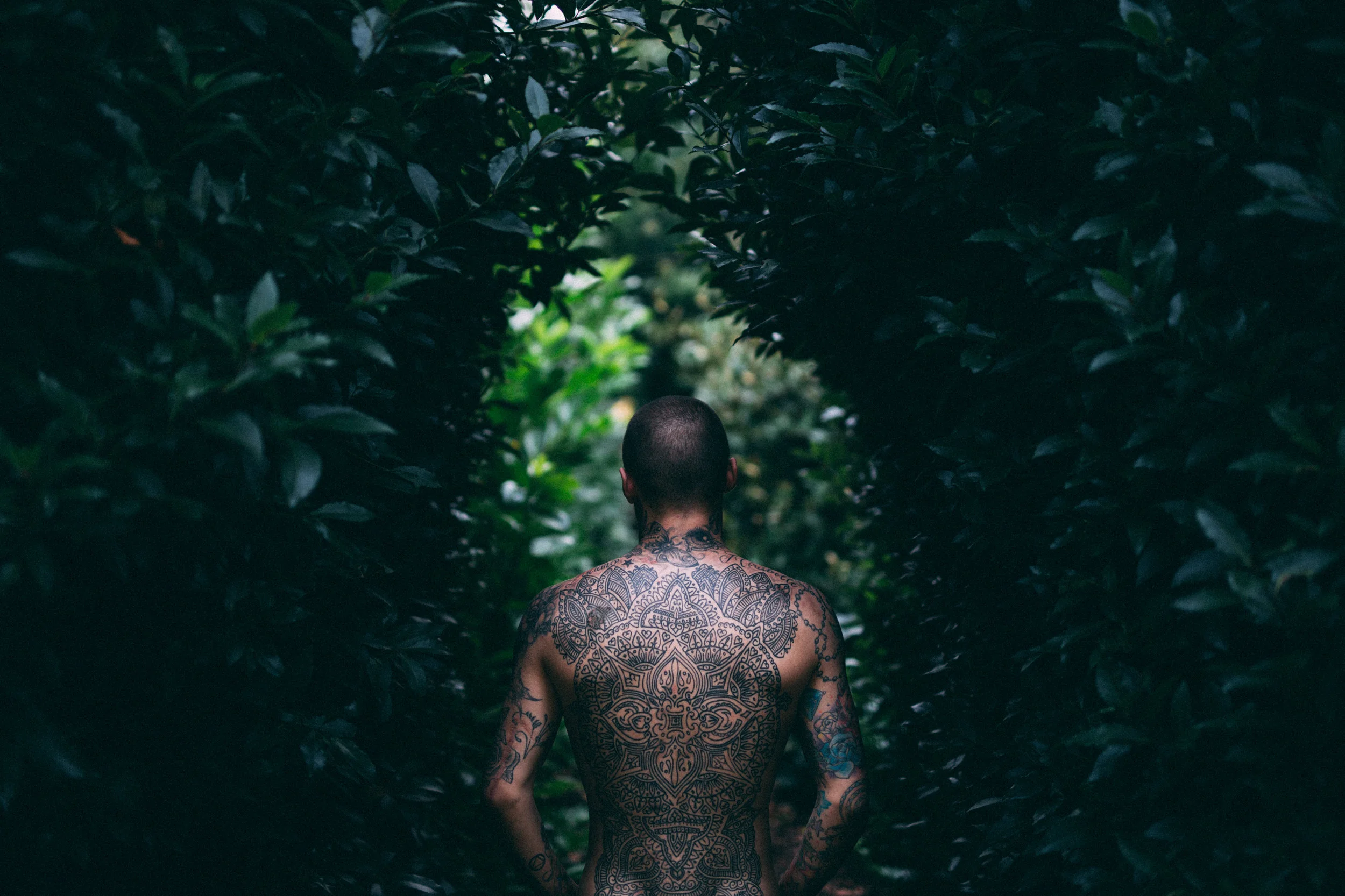 The guys over at Unsplash have done a little feature about me and one of my photos. This is a big personal milestone to be featured with these guys. So despite being stuck in the middle of Germany due to a broken down tour bus I'm still over the moon. Check the feature out below.