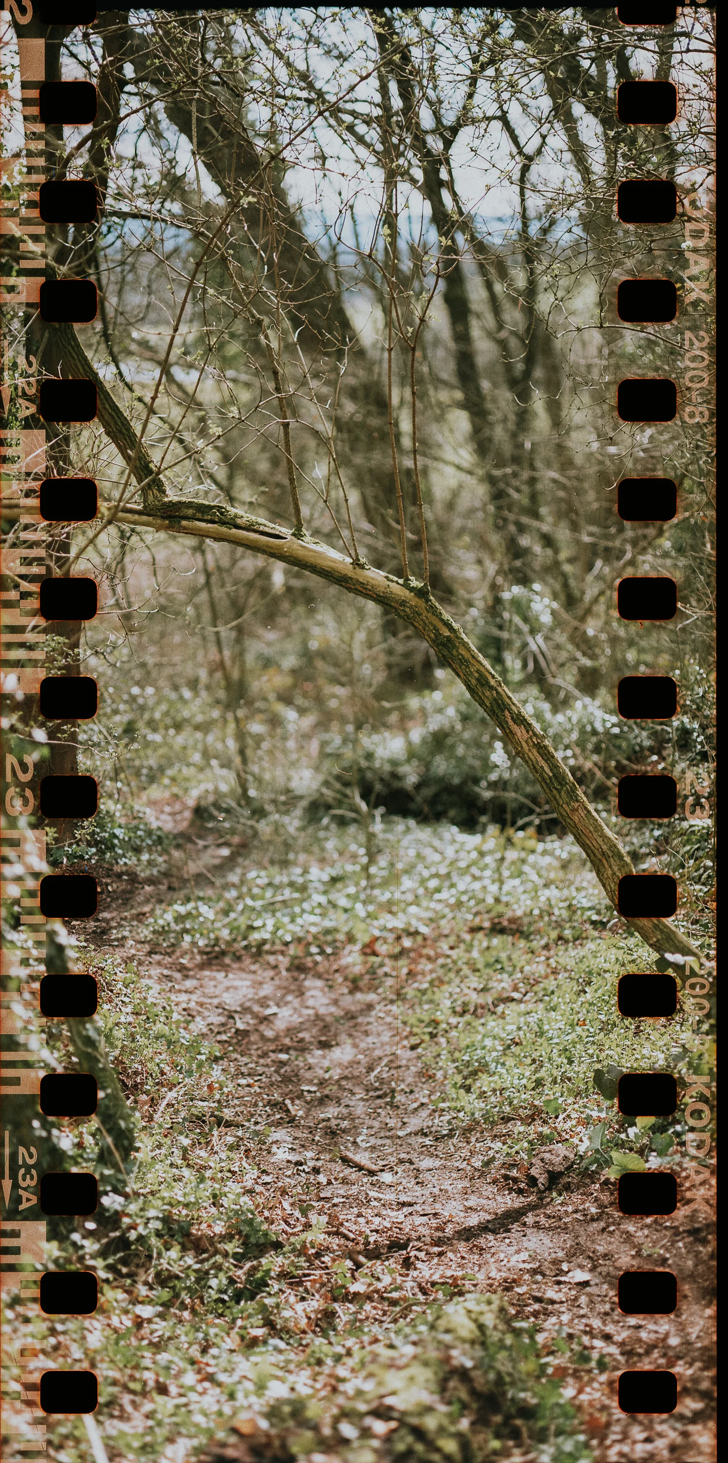Cans045.jpg