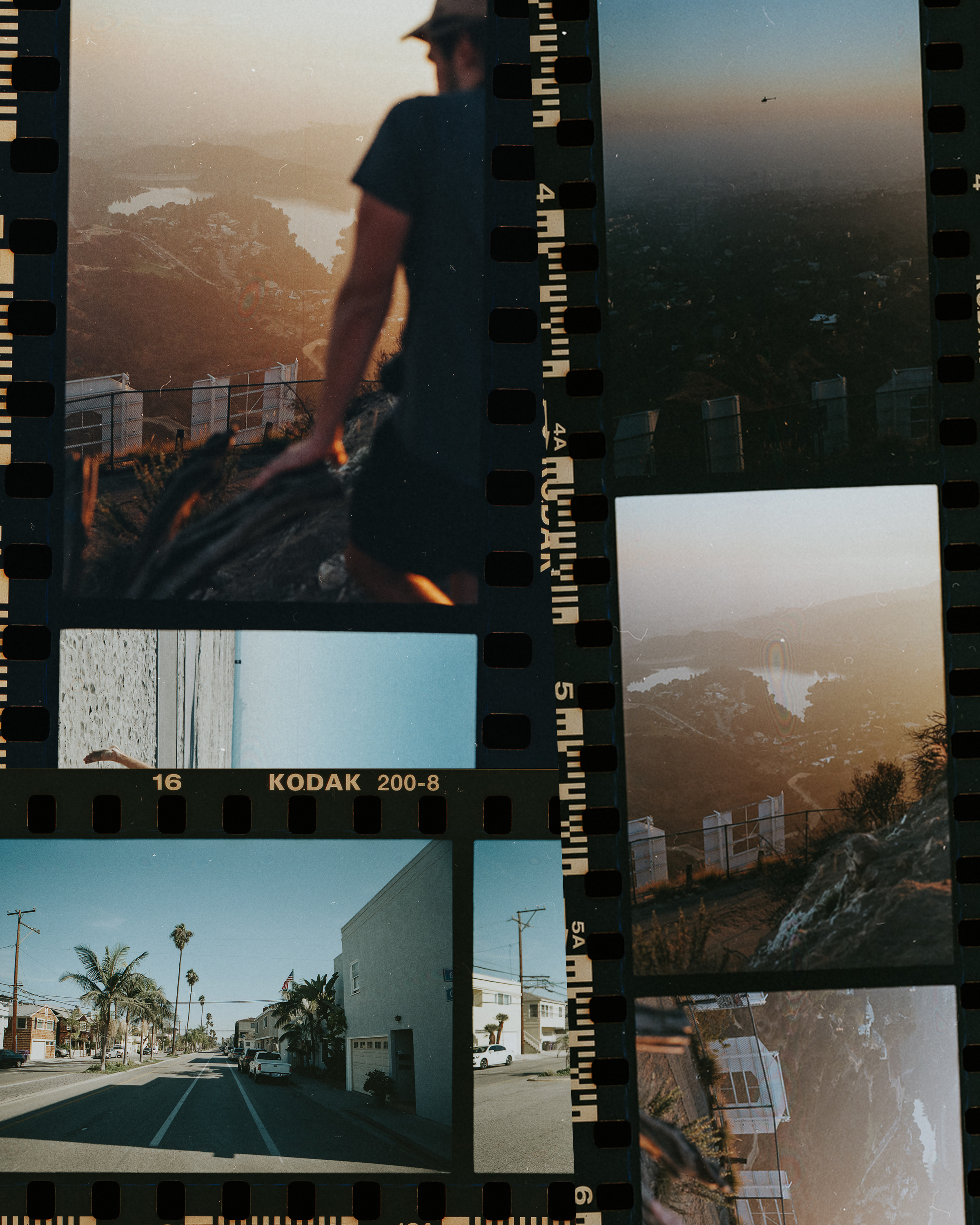 Collage.jpg