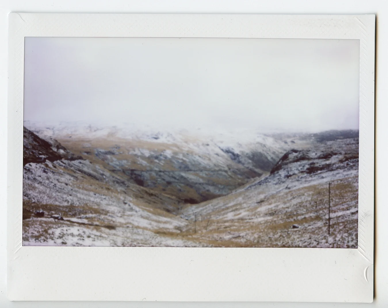 Instax002.jpg
