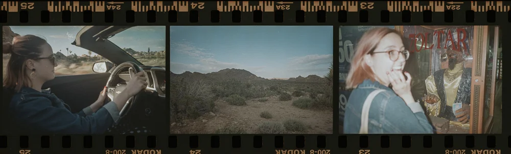 img113.jpg