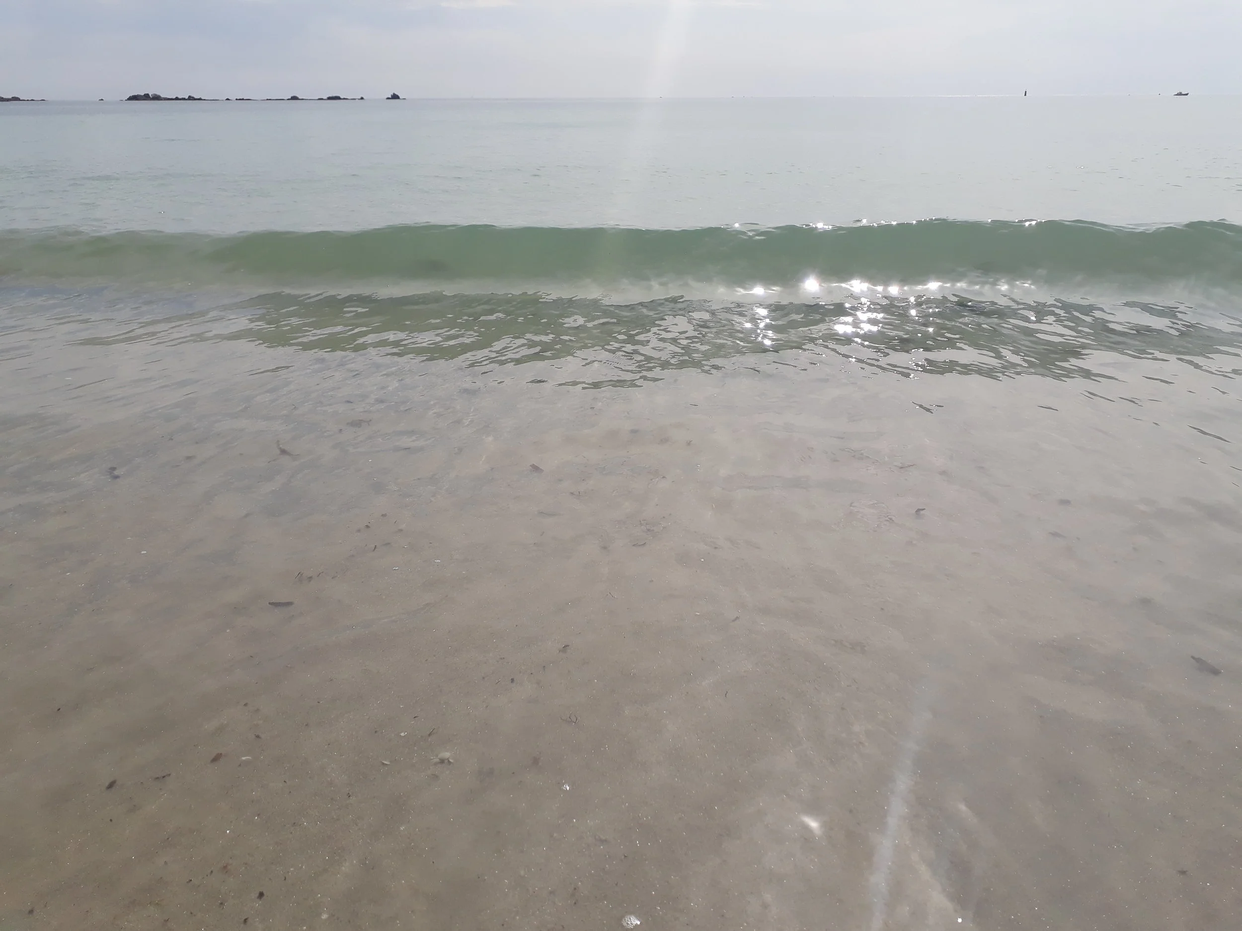 20180828_162634.jpg