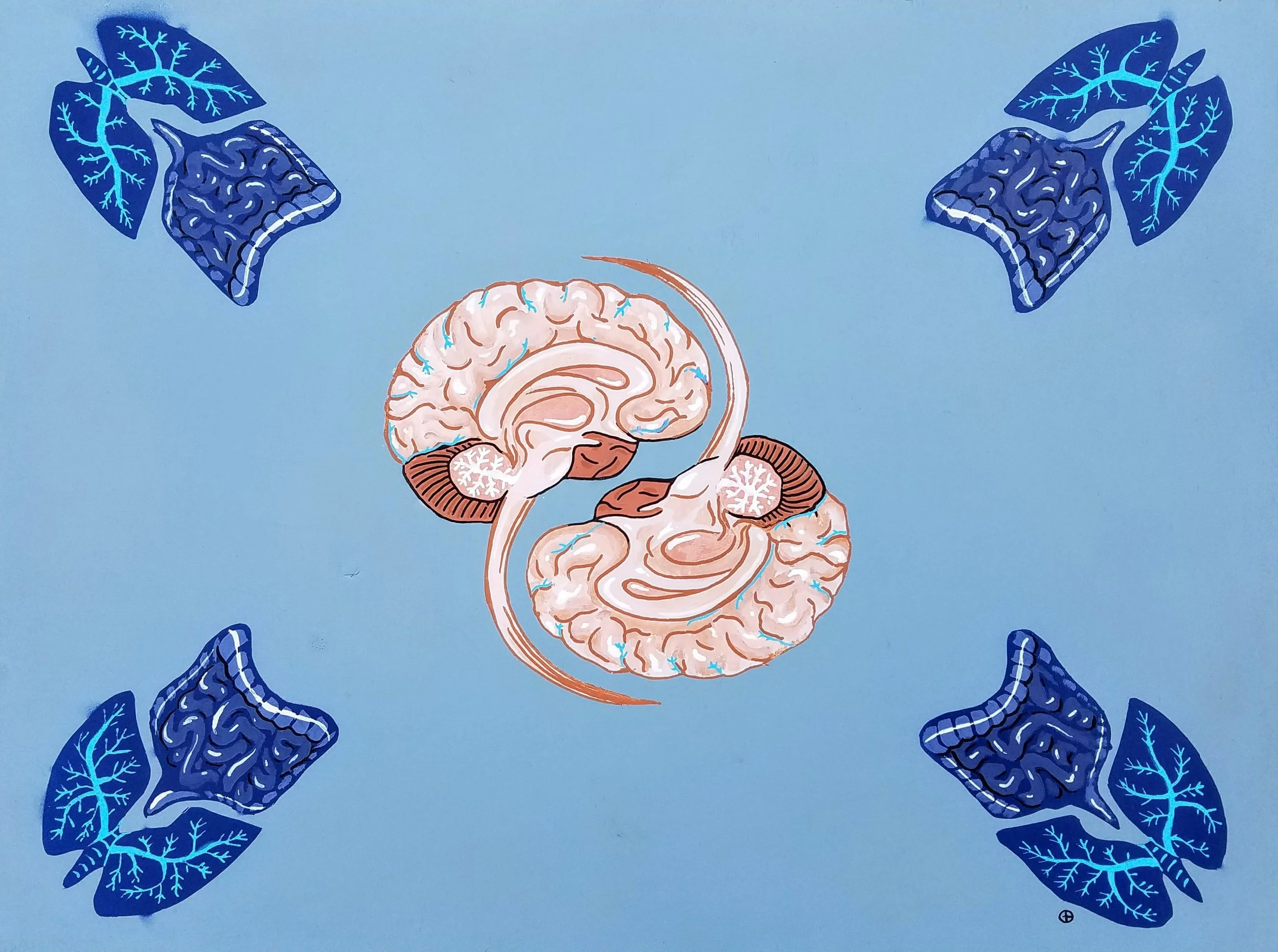 Cerebrum