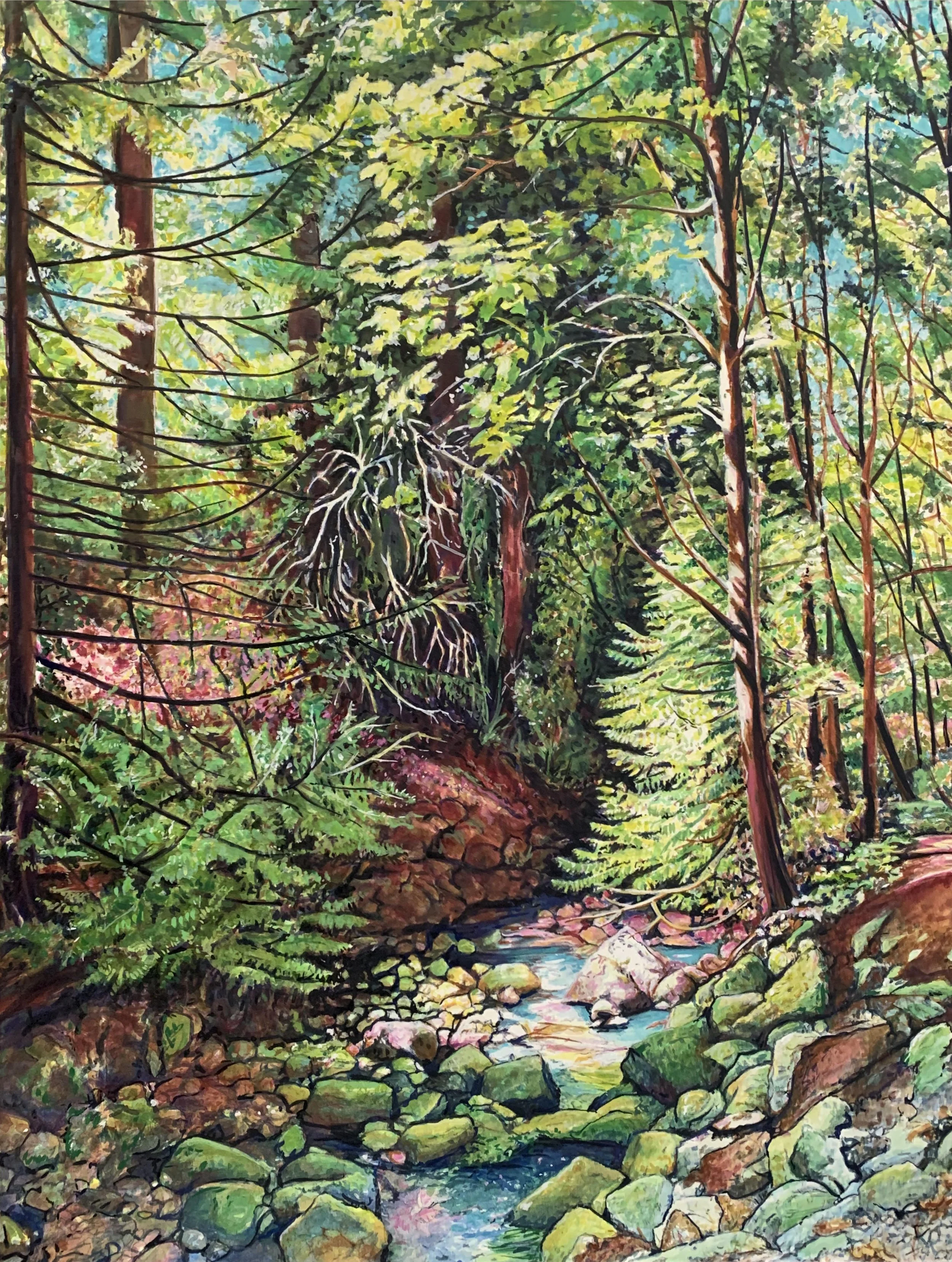 Forest Stream.jpg