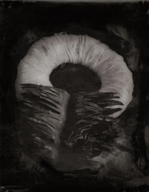 Jean-Michel Fauquet Traces of Being