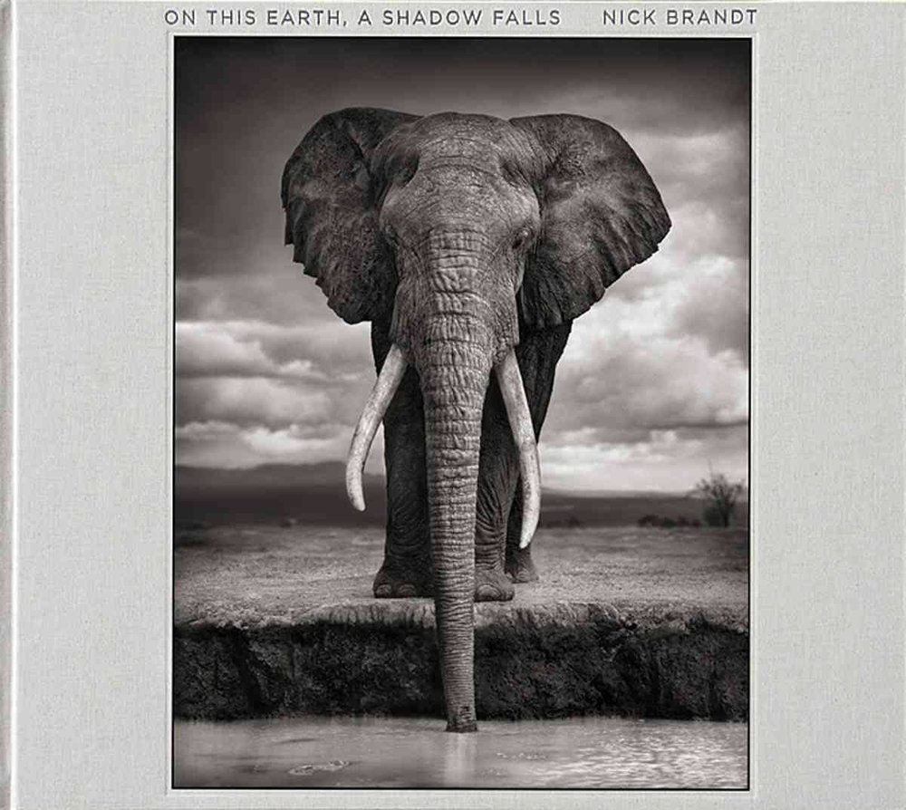 Nick Brandt - On This Earth A Shadow Falls - Signed