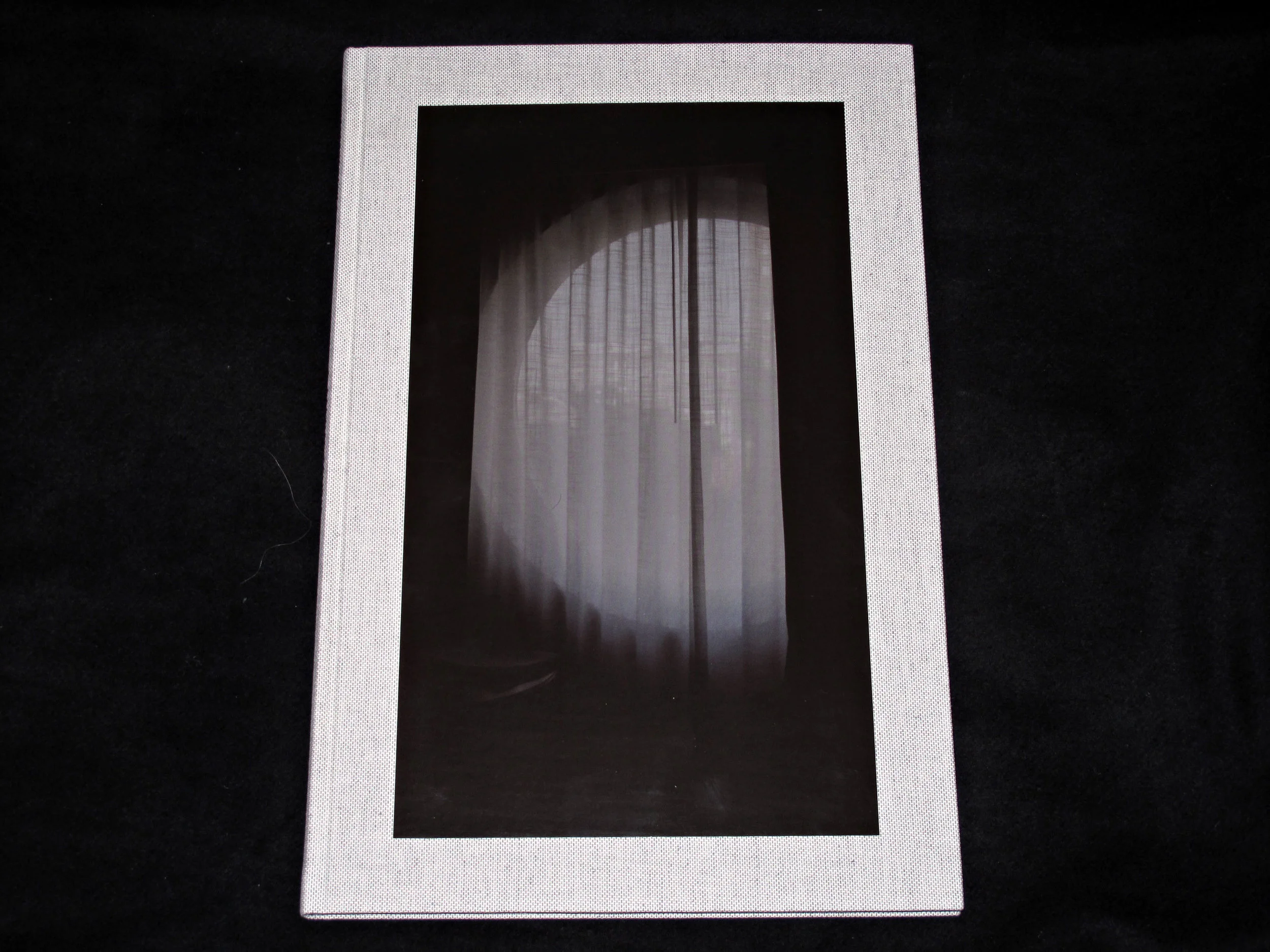 Martin Boyce - A Partial Eclipse.jpg