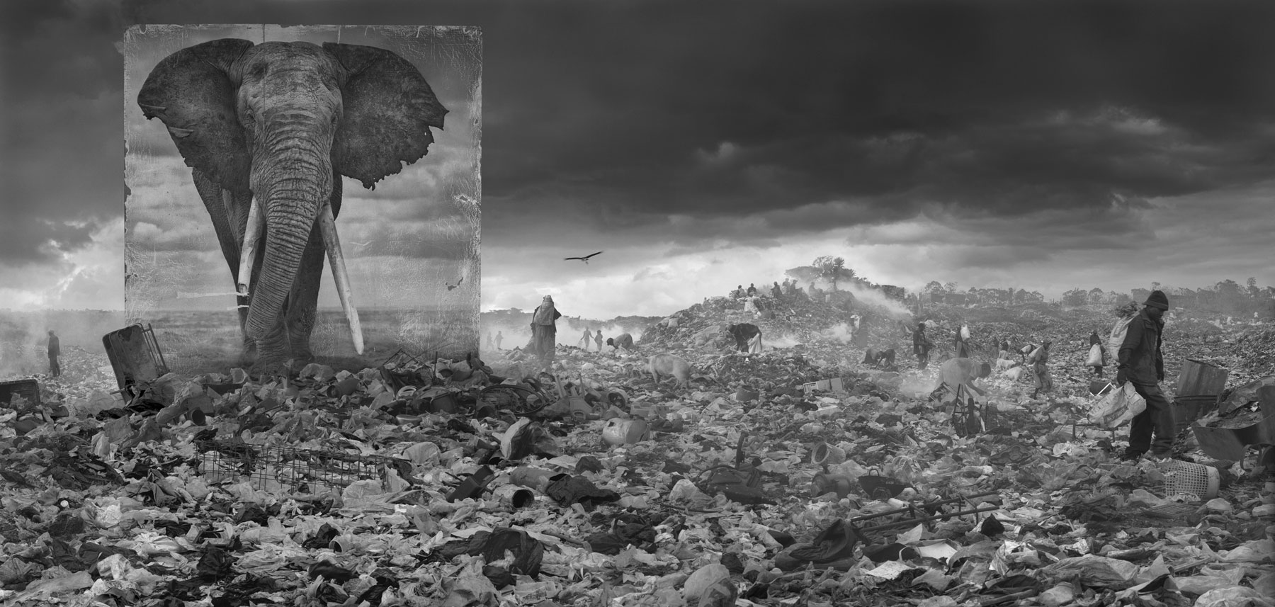 Nick Brandt - Inherit the Dust.jpg