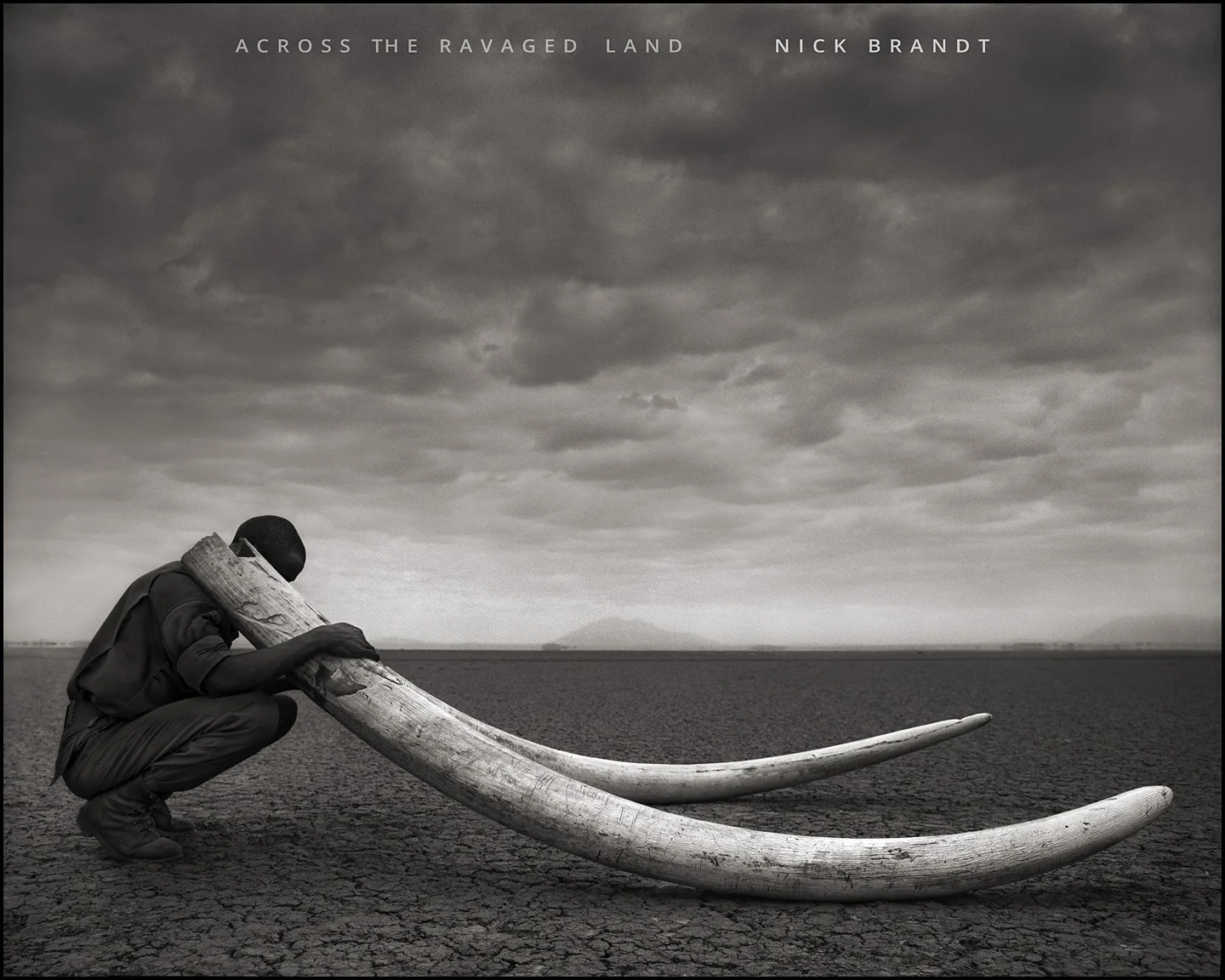 Ranger with Tusks of Killed Elephant