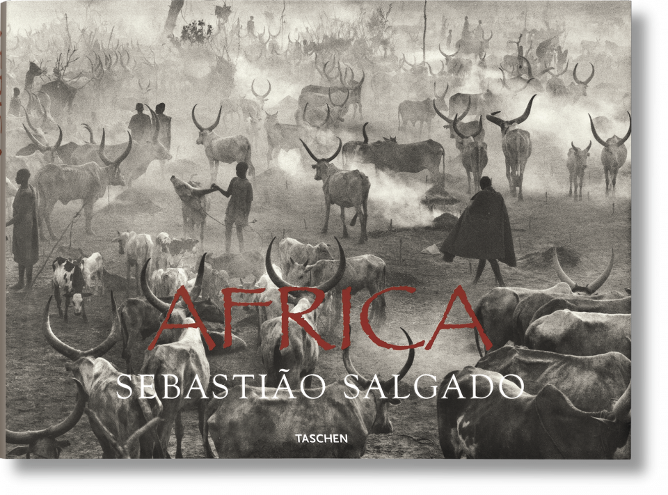 Salgado - Africa.png