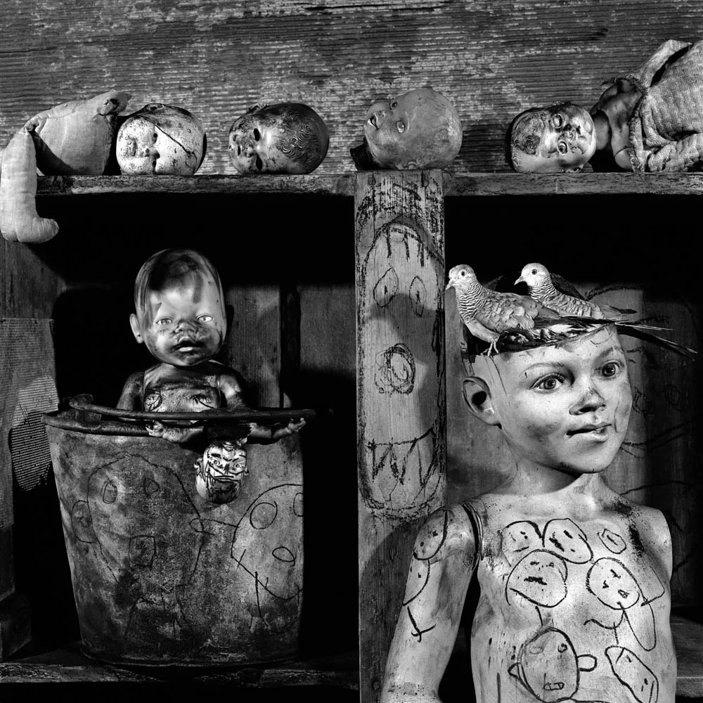 Roger Ballen - Abandoned - 2009