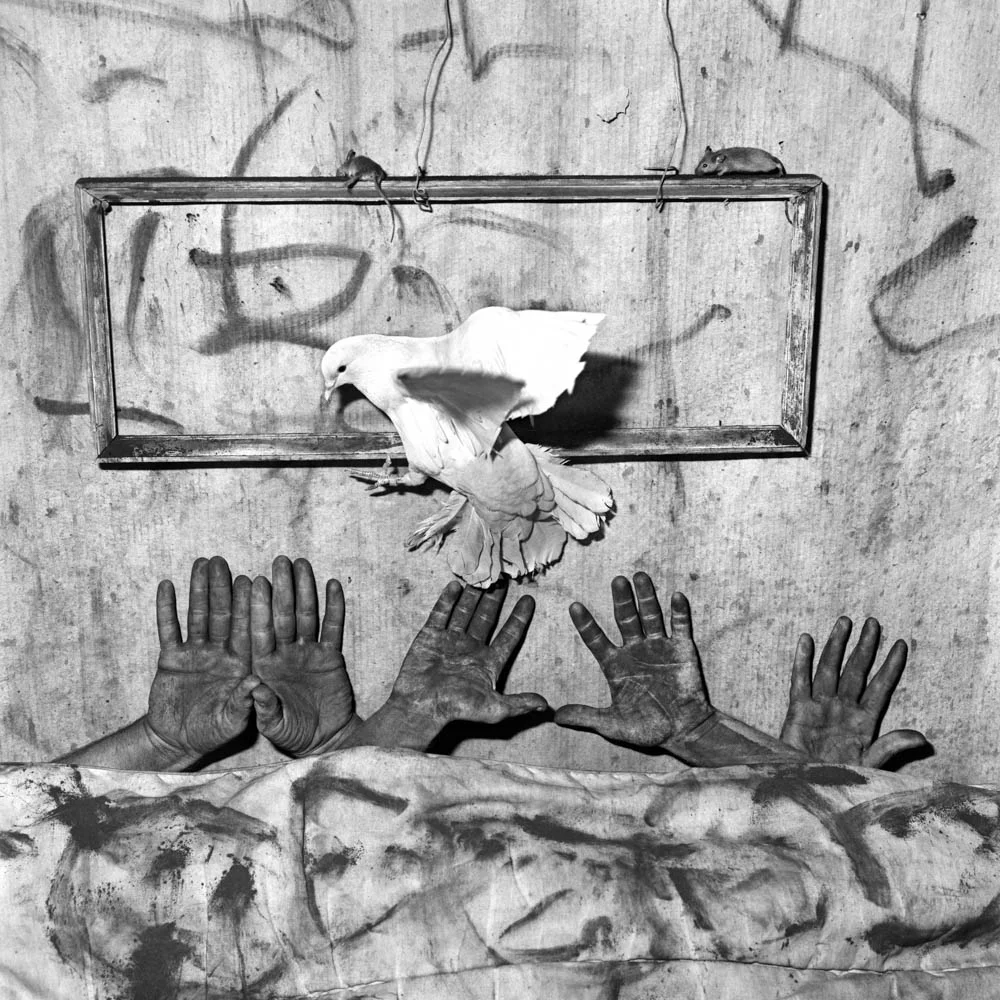 Roger Ballen - Five Hands - 2006