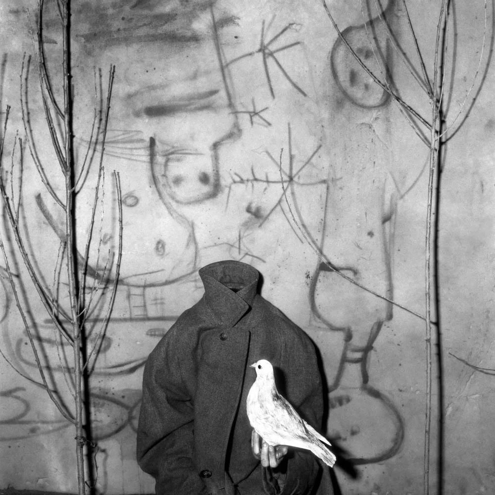 Roger Ballen - Headless - 2006