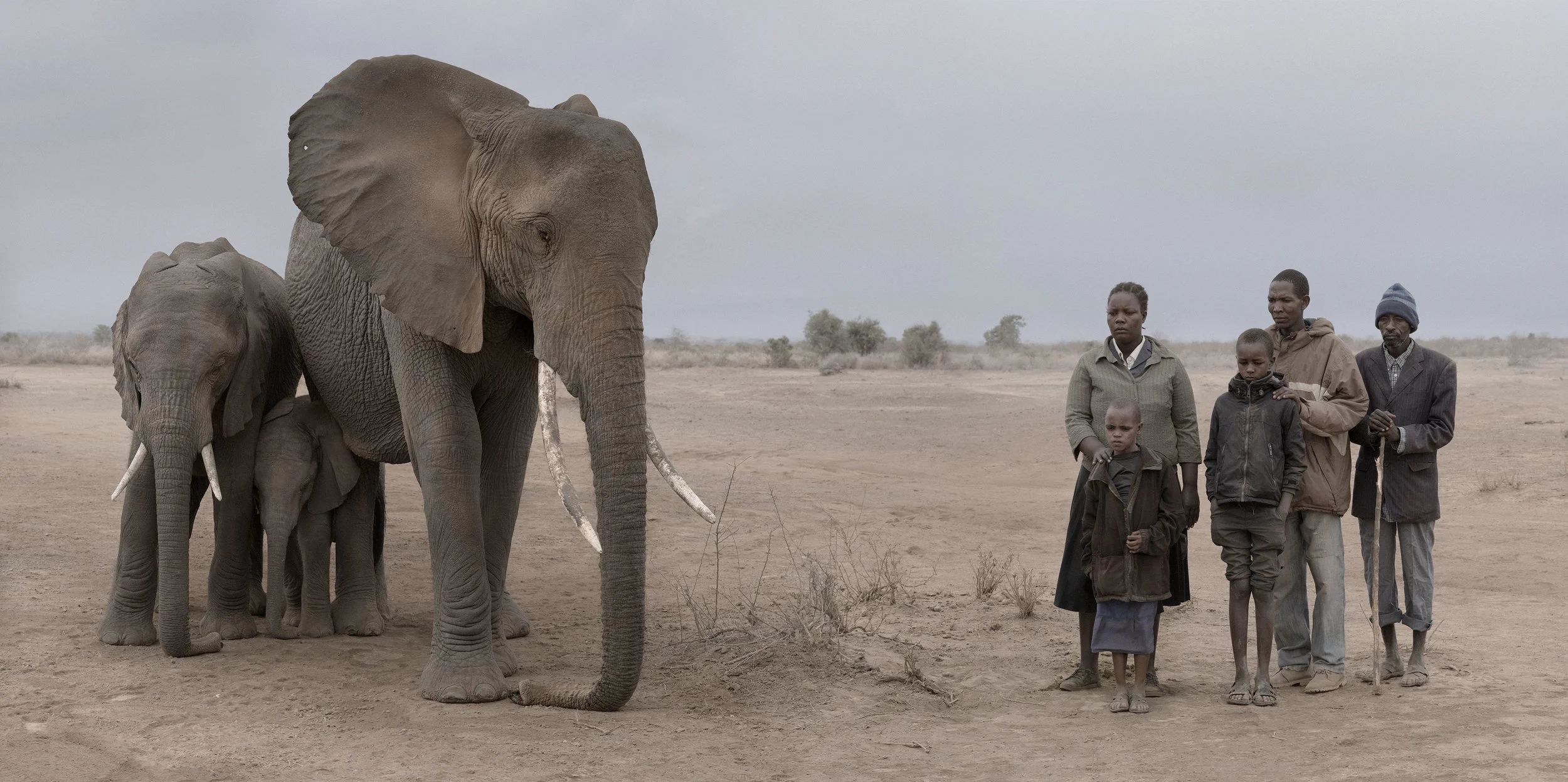 Nick Brandt Elephant and Human Family, 2018 Archival pigment print, edition of 15 106.7 x 213.4 cm INQUIRE