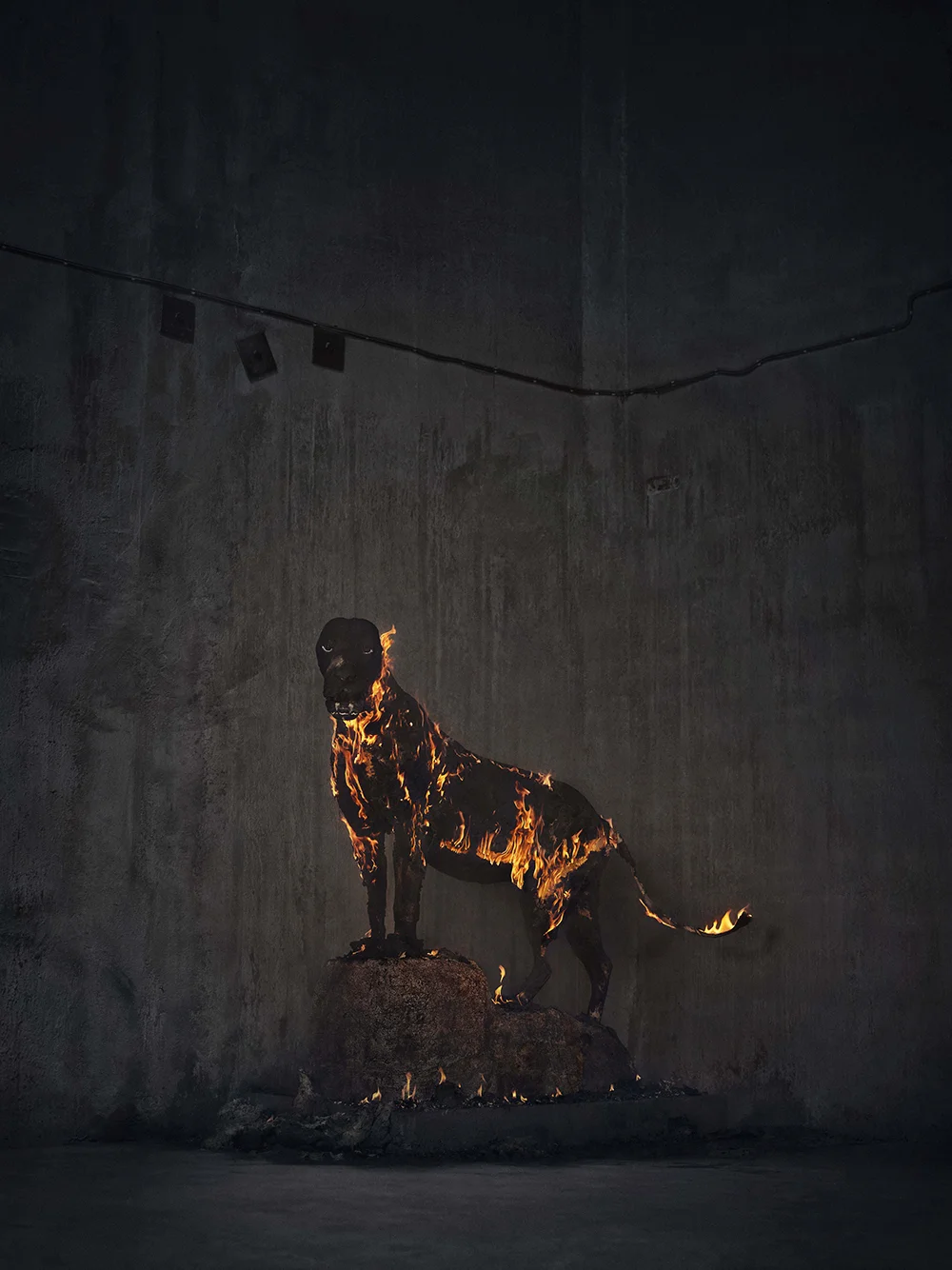 Christian Houge - Lion Burnt